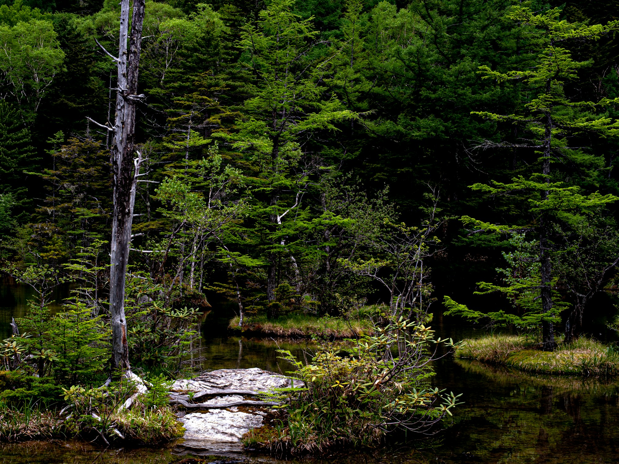 Kamikochi: Local Culture & Traditions Guide
