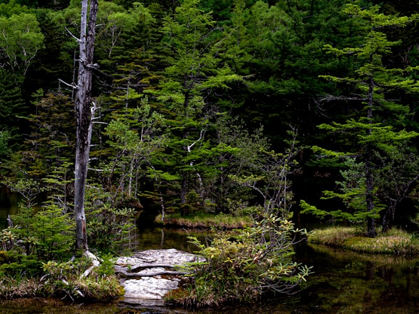 What to See in Kamikochi: A Travel Guide
