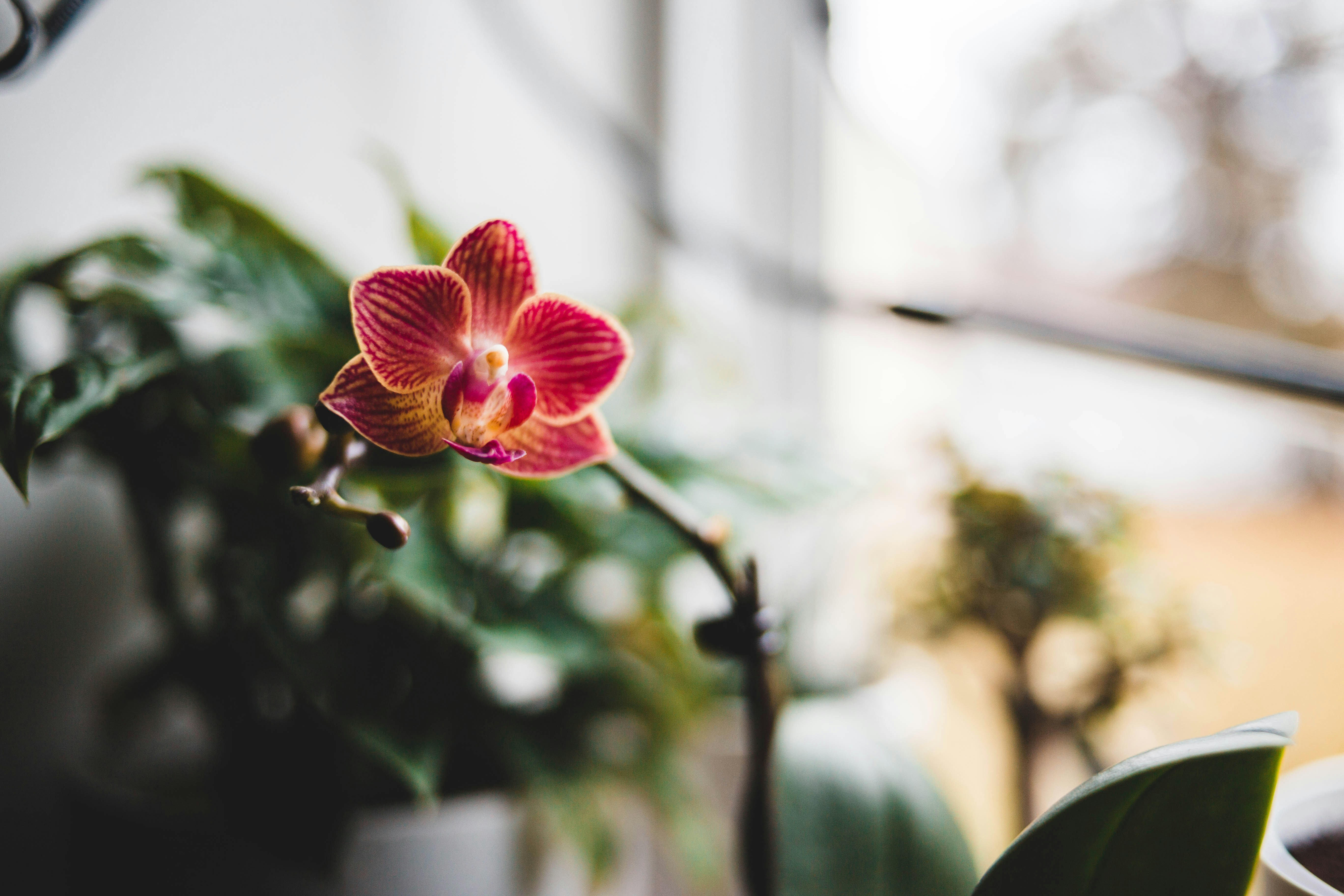 Photo by introspectivedsgn