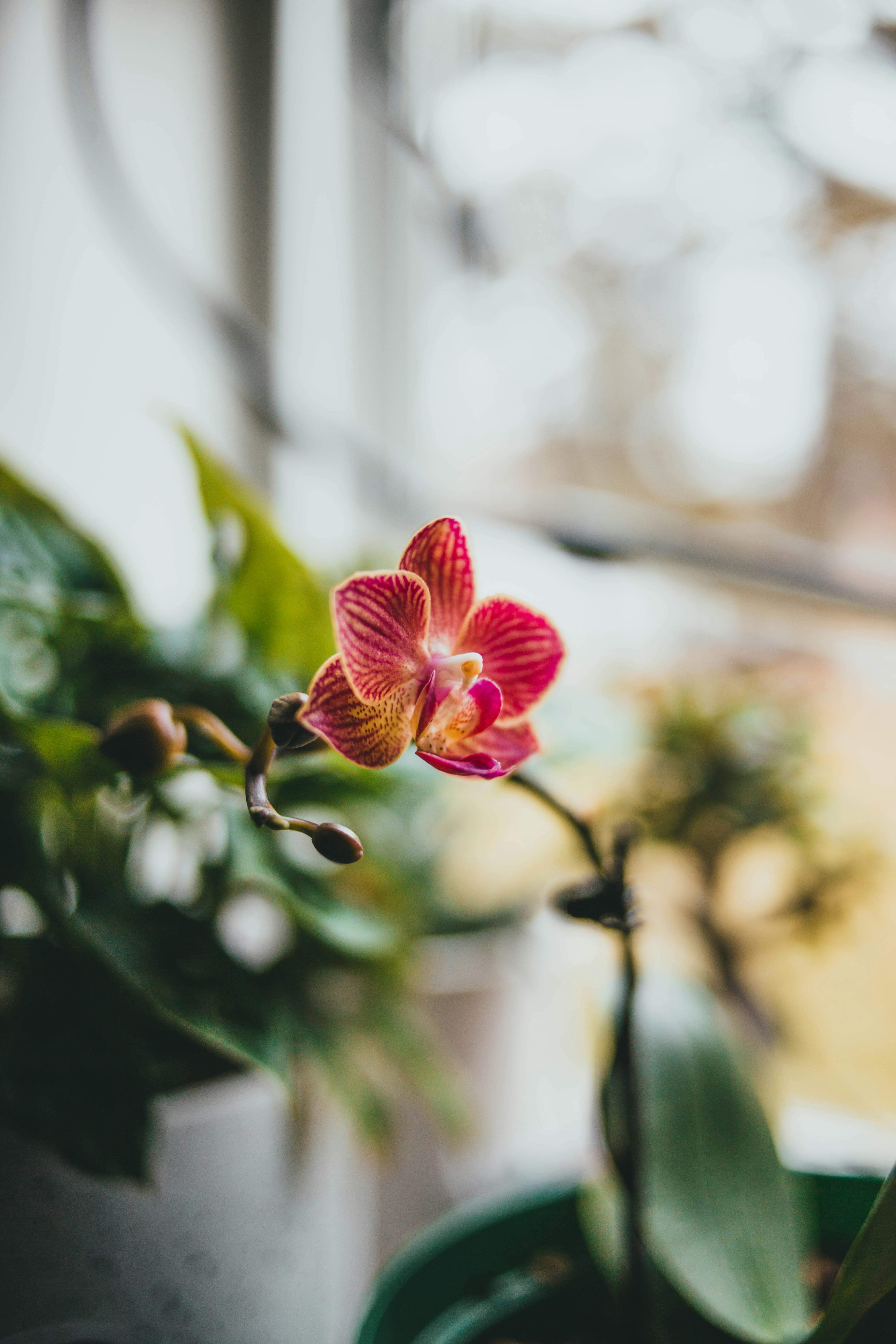 Photo by introspectivedsgn