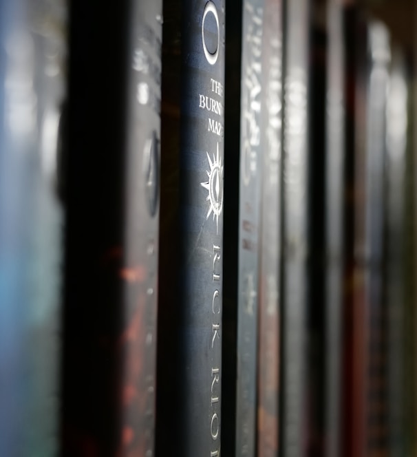 a row of books sitting next to each other