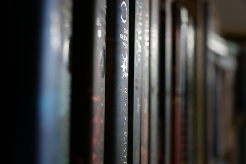 Political Fiction