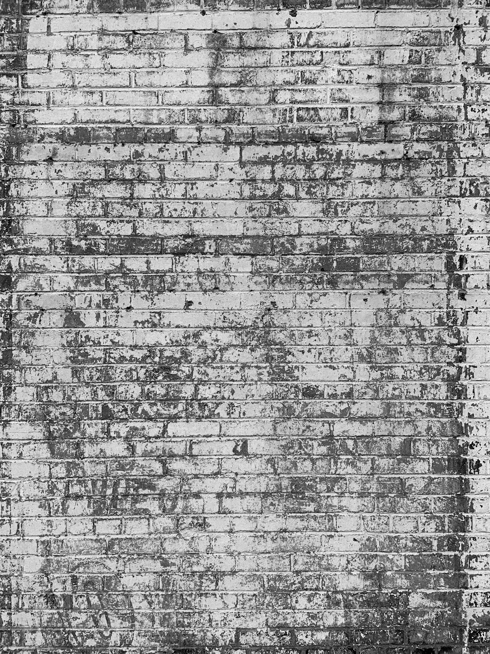 uma foto em preto e branco de uma parede de tijolos