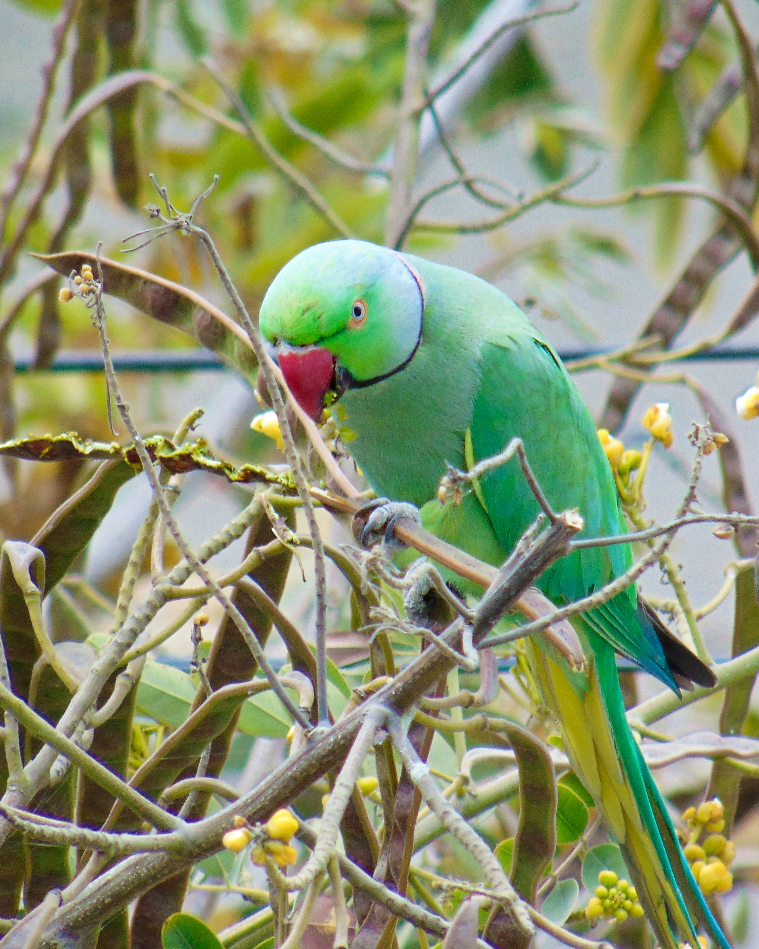 Photo by anupamkumarshakya