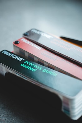 Brand identity guide open to pages with color schemes and logo usage.