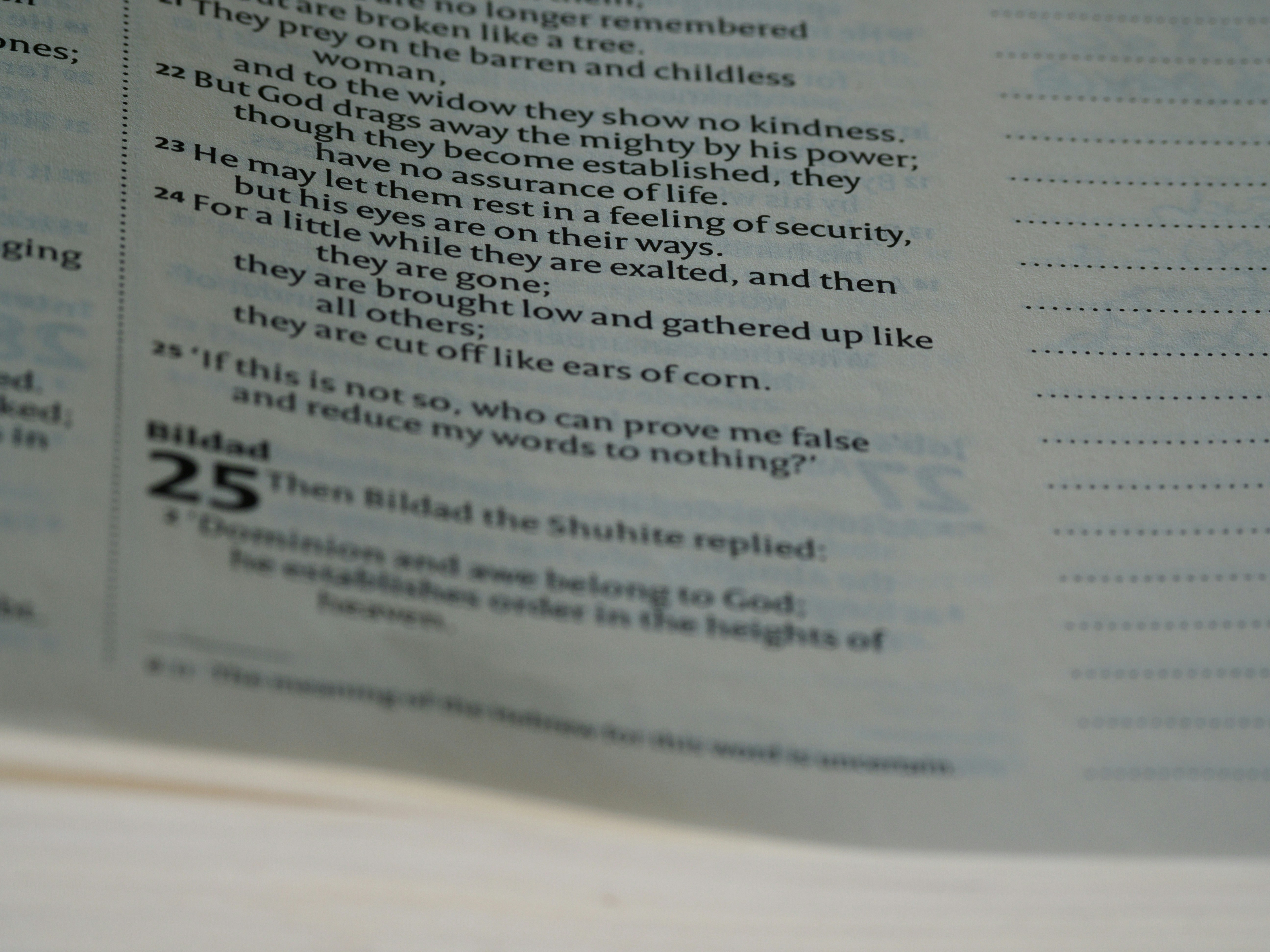 لقطة مقرّبة لكتاب سنوي مع اقتباسات وصور كبيرة.