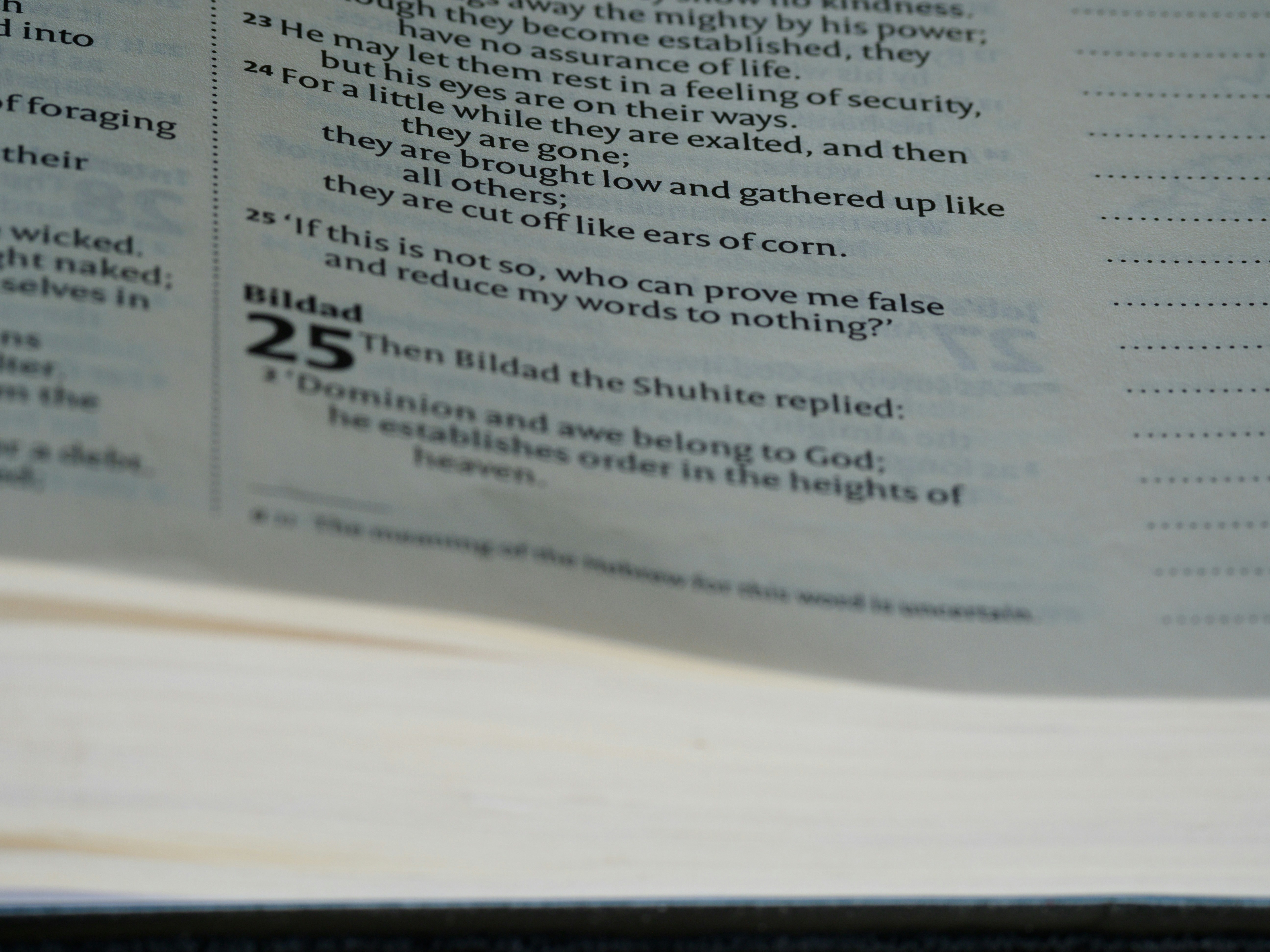 photo-1645201497630-4d42bc6ccfd7?ixid=M3wxMjA3fDB8MXxzZWFyY2h8MTl8fCVFMCVCOCVBQSVFMCVCOCVBMSVFMCVCOCVCMSVFMCVCOCU4NCVFMCVCOCVBMyUyMCVFMCVCOCVBQSVFMCVCOCVBNSVFMCVCOSU4NyVFMCVCOCVBRCVFMCVCOCU5NSVFMCVCOSU4MCVFMCVCOCVBNyVFMCVCOSU4NyVFMCVCOCU5QSVFMCVCOCU5NSVFMCVCOCVBMyVFMCVCOCU4NyUyMHBnJTIwJUUwJUI5JTgwJUUwJUI4JTlCJUUwJUI4JUI0JUUwJUI4JTk0JTIwMjR8ZW58MHx8fHwxNzU4Nzk1OTMzfDA\u0026ixlib=rb-4.1.0