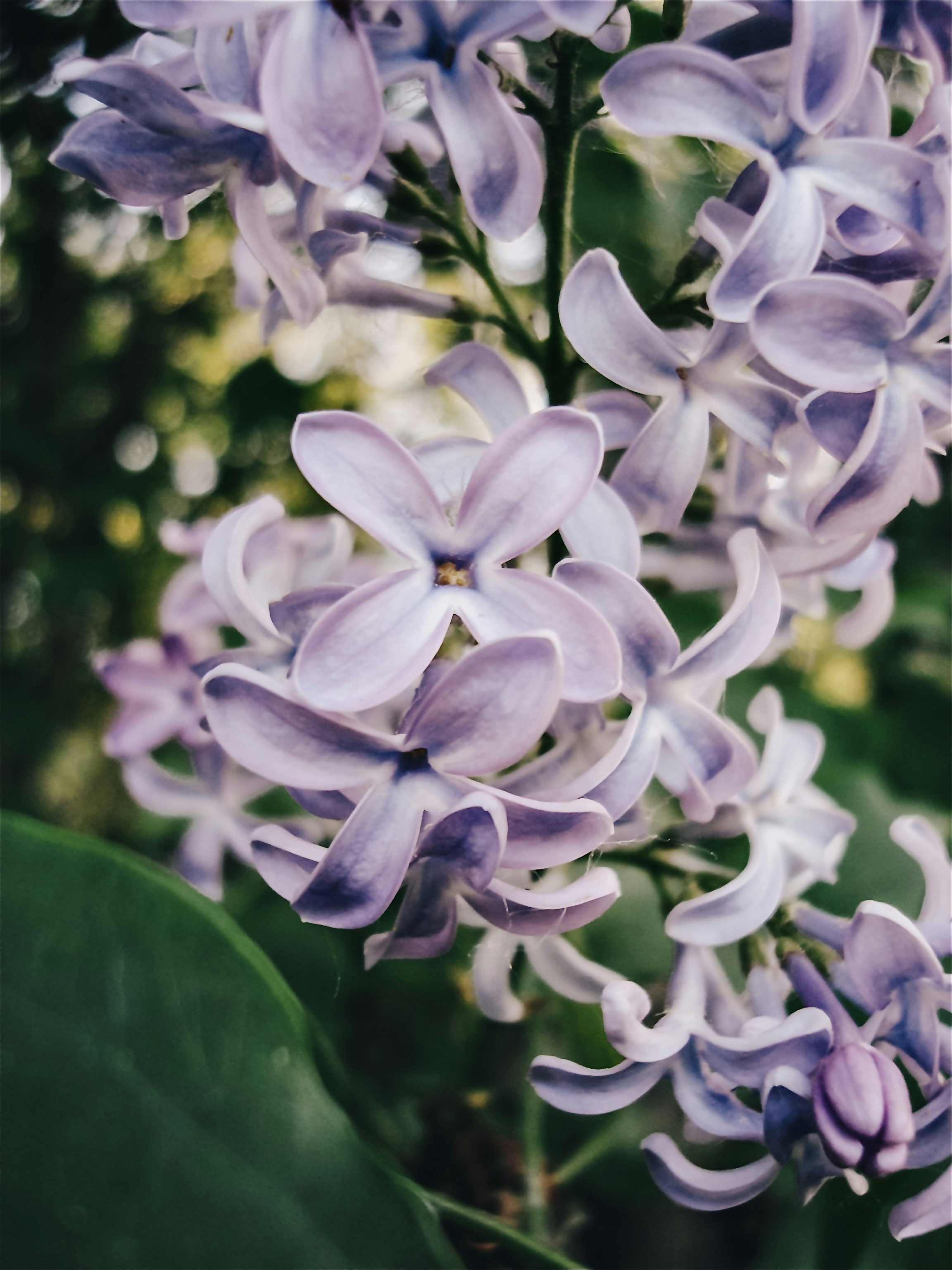 Photo by eugene_golovesov