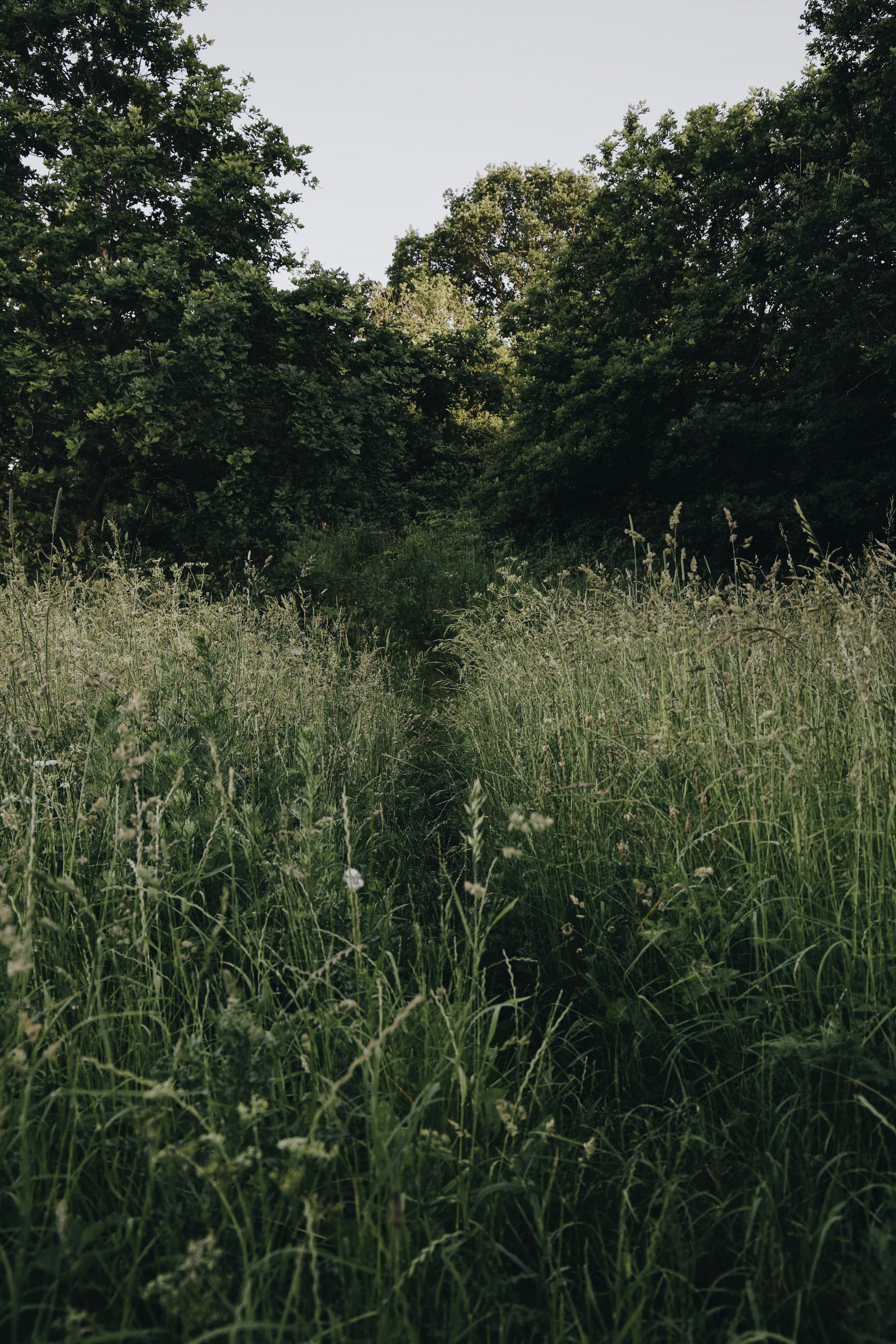 Photo by katharina_bill