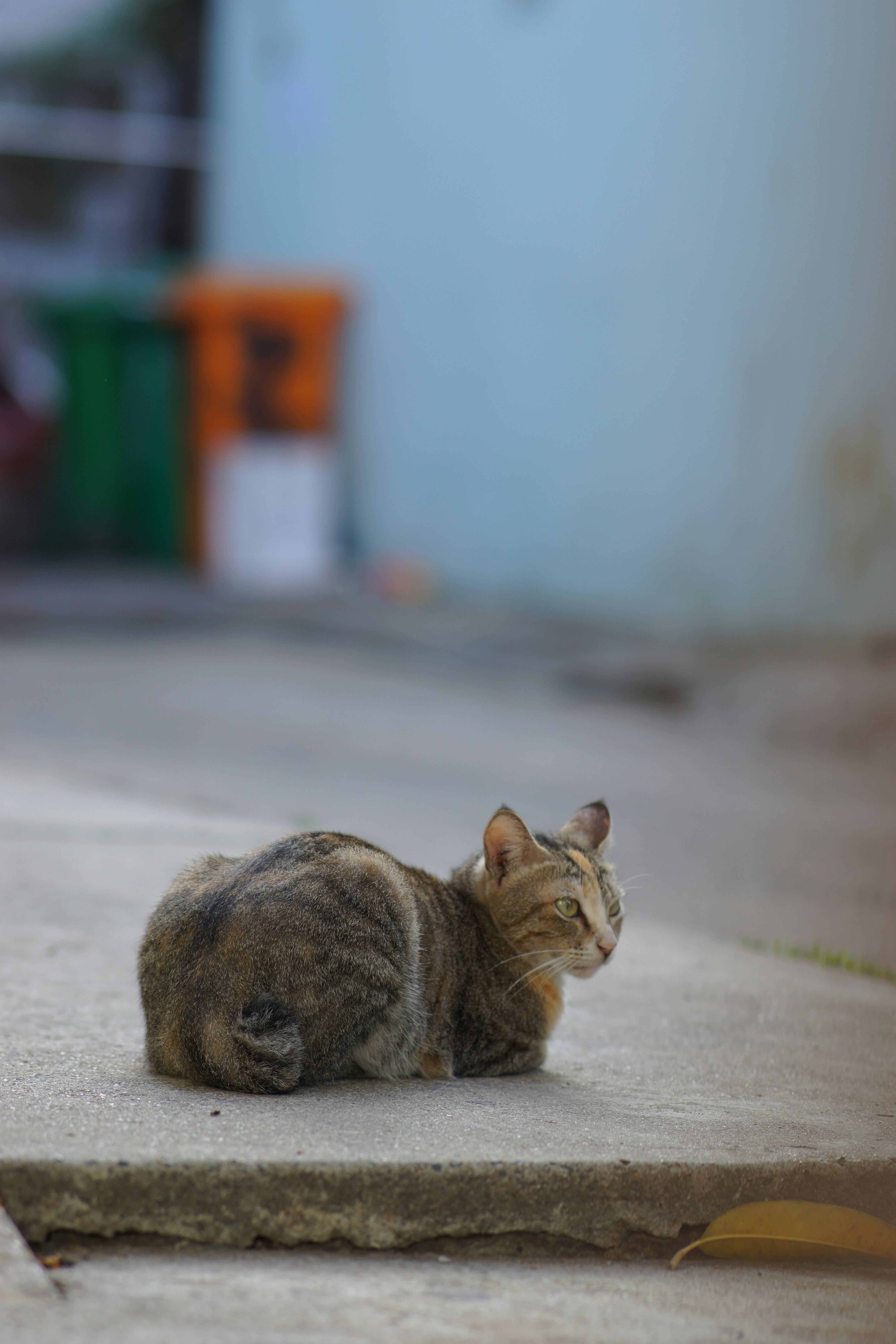 Photo by nntruong0801