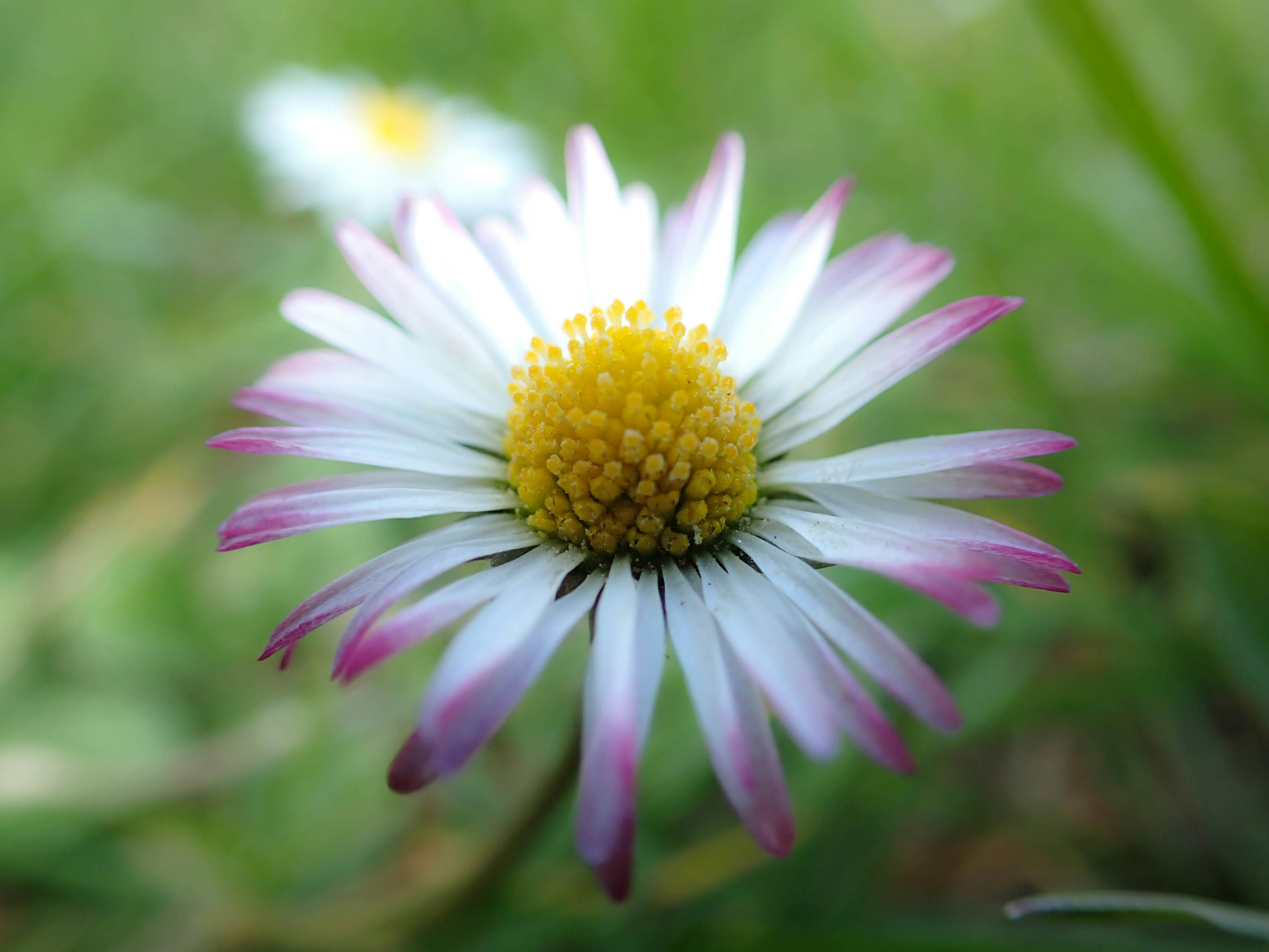 Photo by kayleighbruers