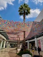 A vibrant outdoor space featuring a custom canopy.
