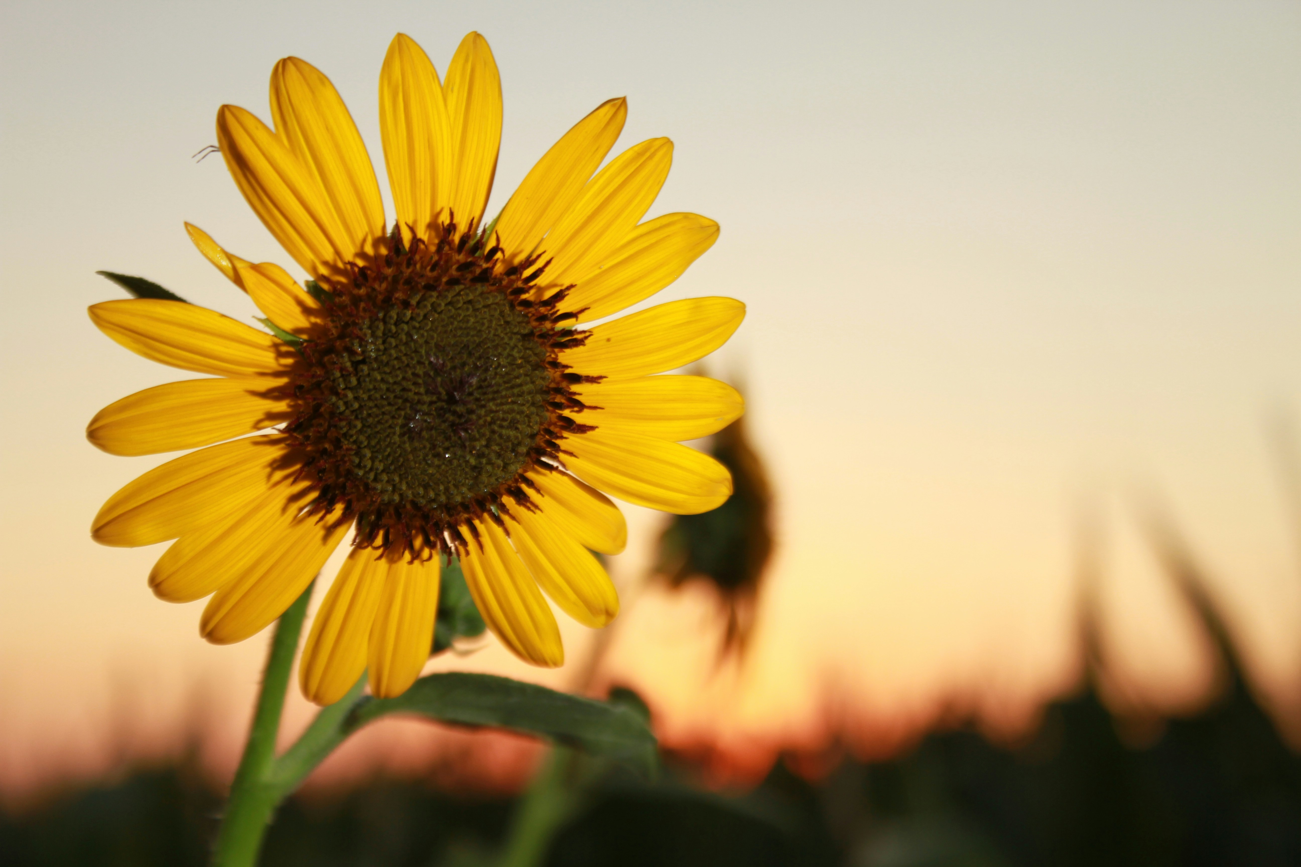 Photo by pqcrtivephoto