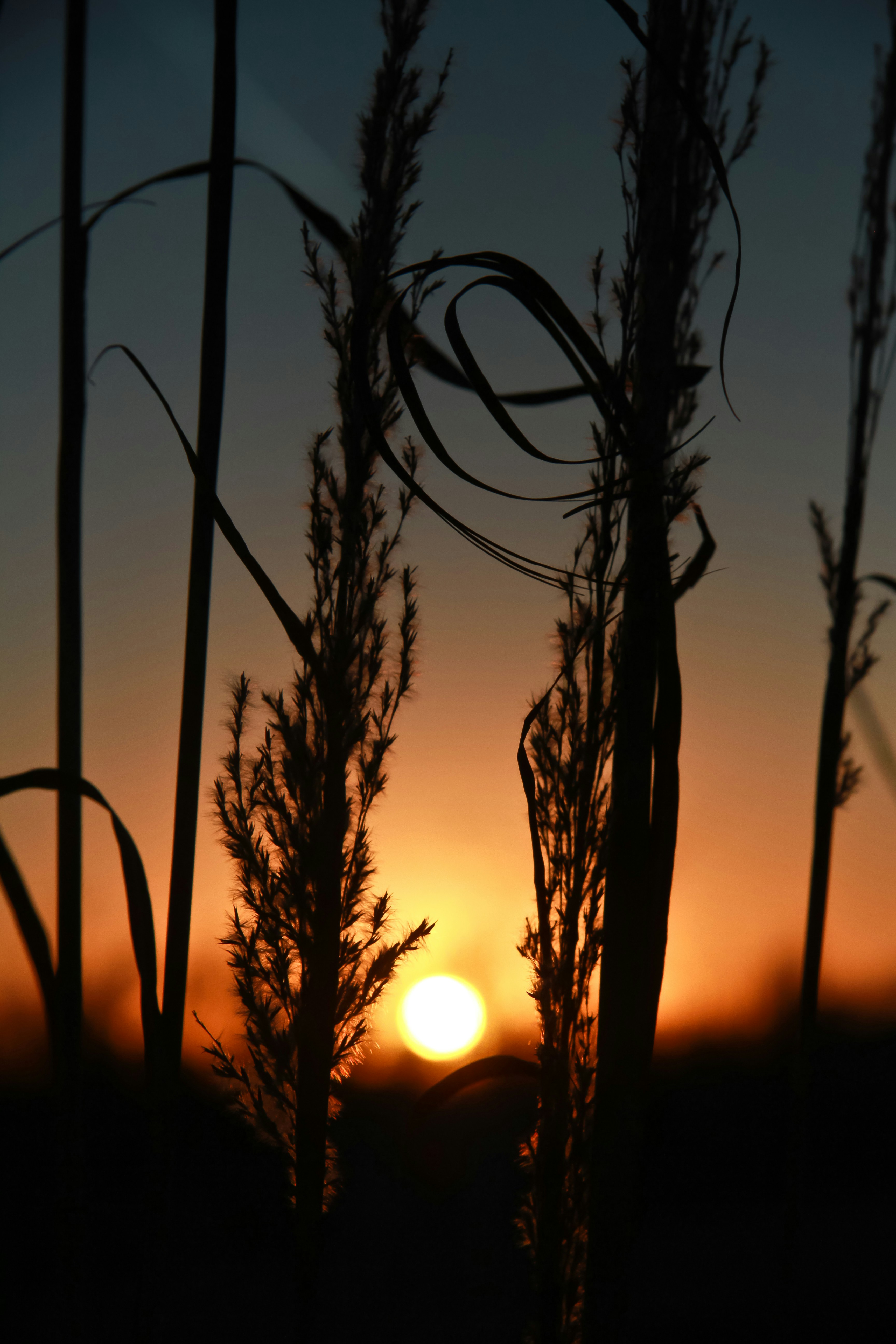 Photo by pqcrtivephoto