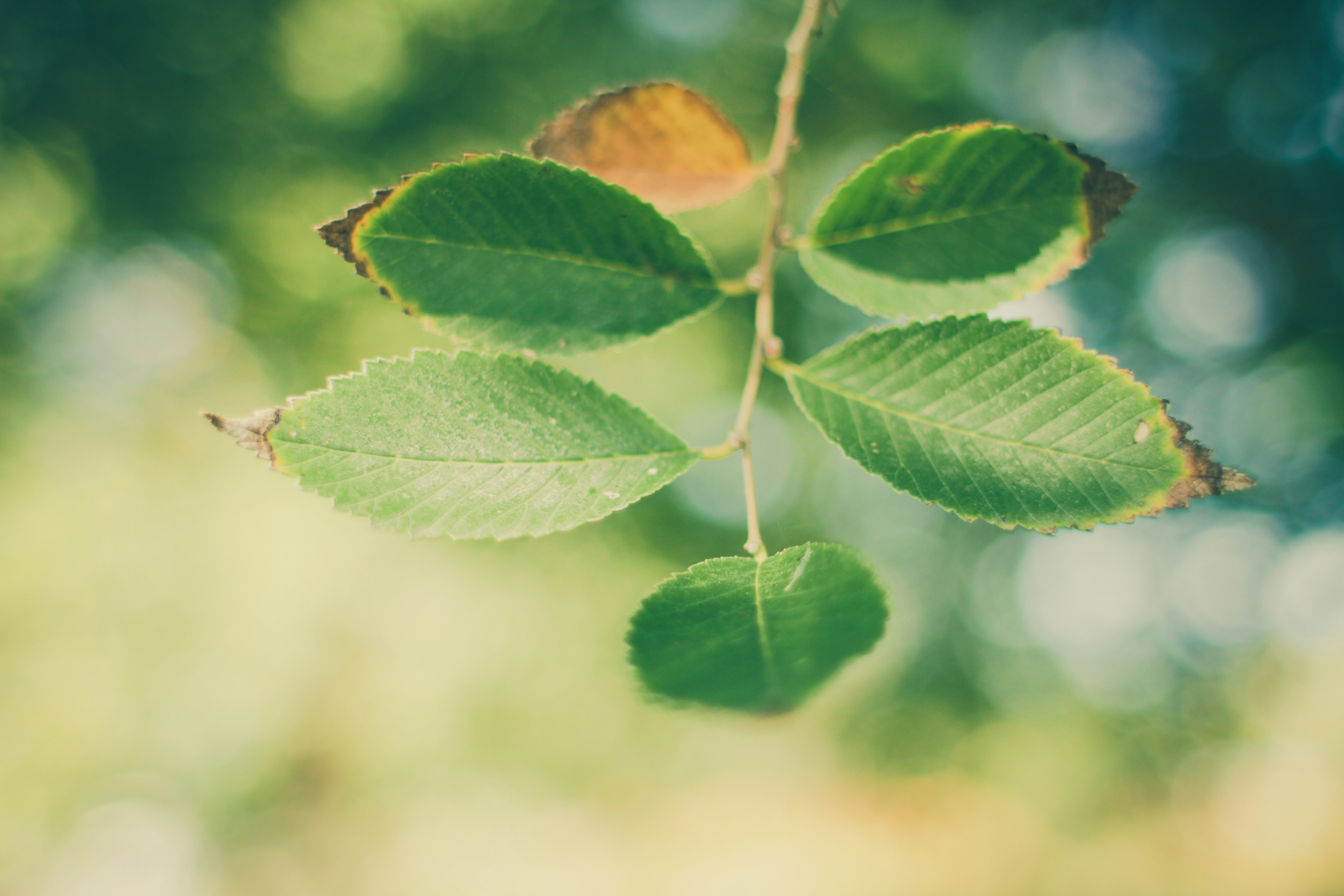 Photo by pqcrtivephoto