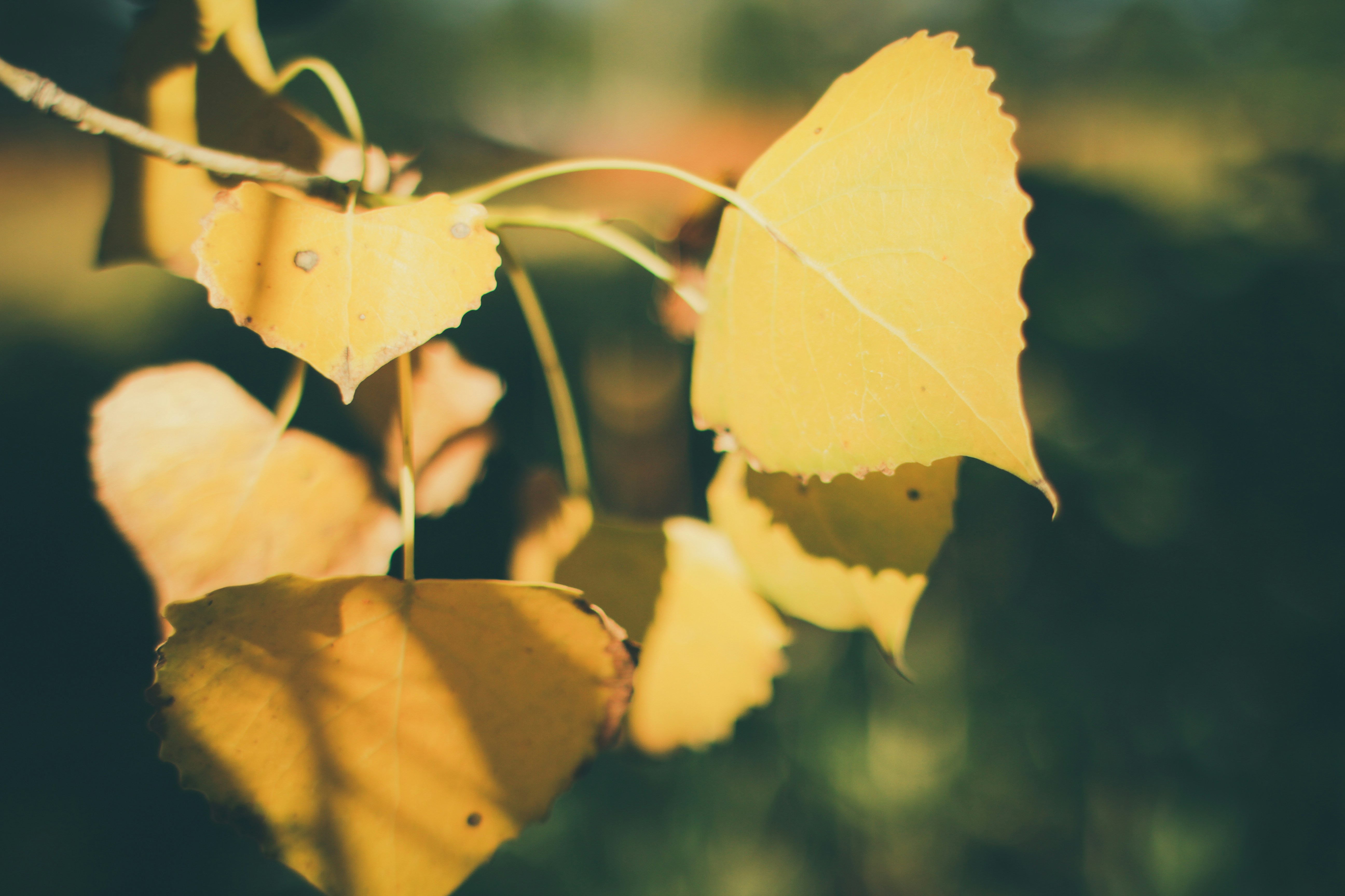 Photo by pqcrtivephoto