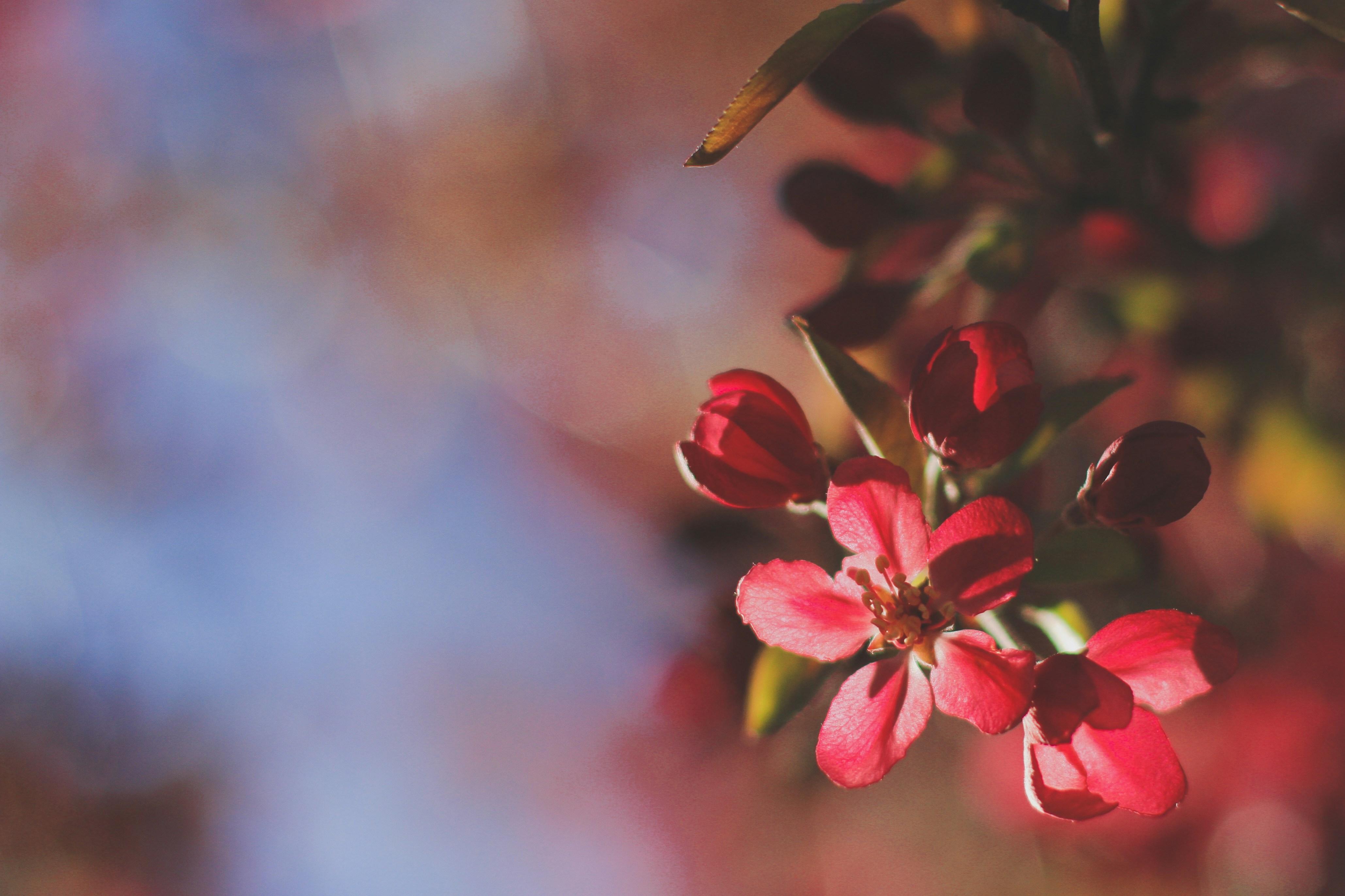 Photo by pqcrtivephoto