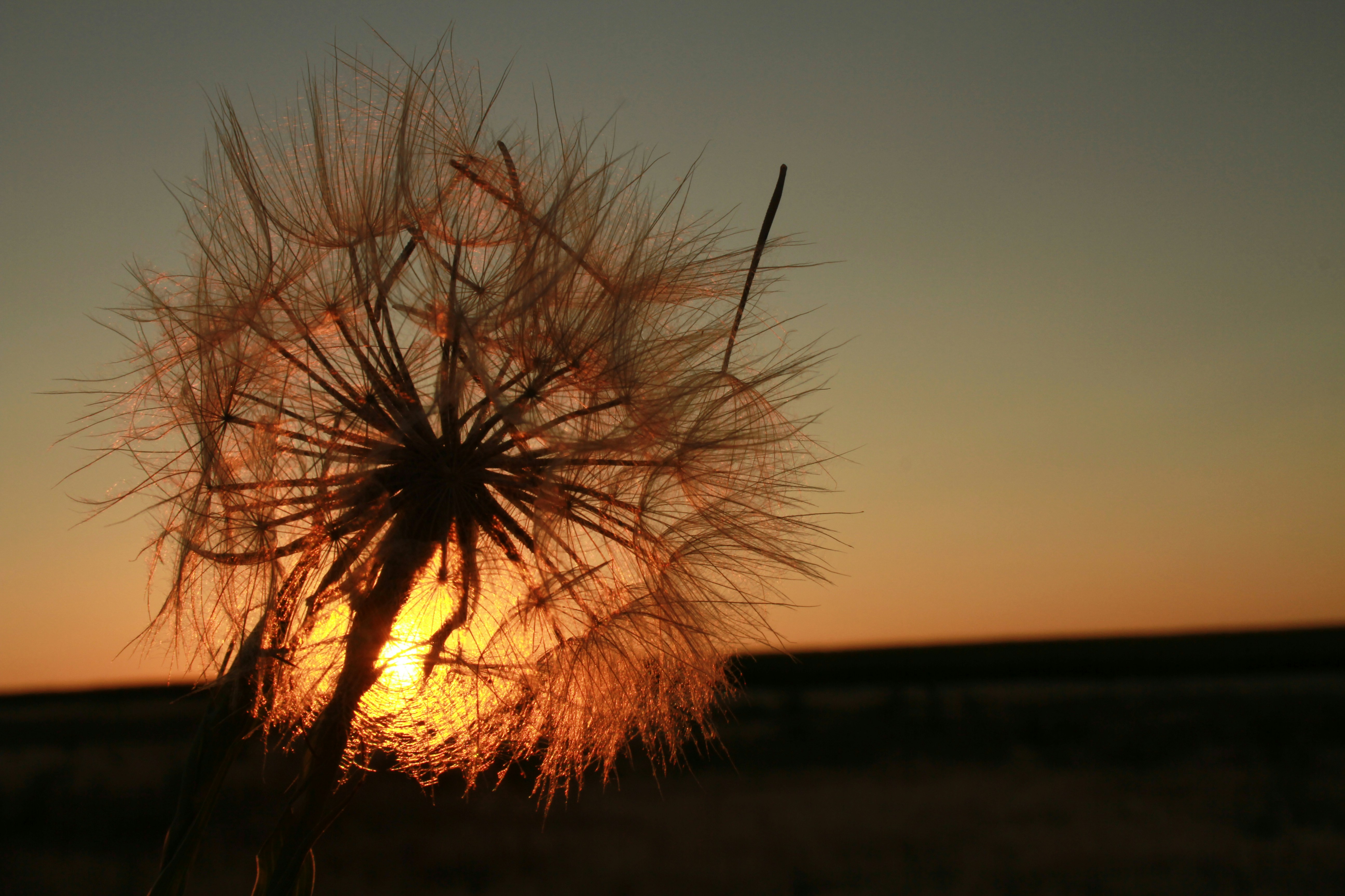 Photo by pqcrtivephoto