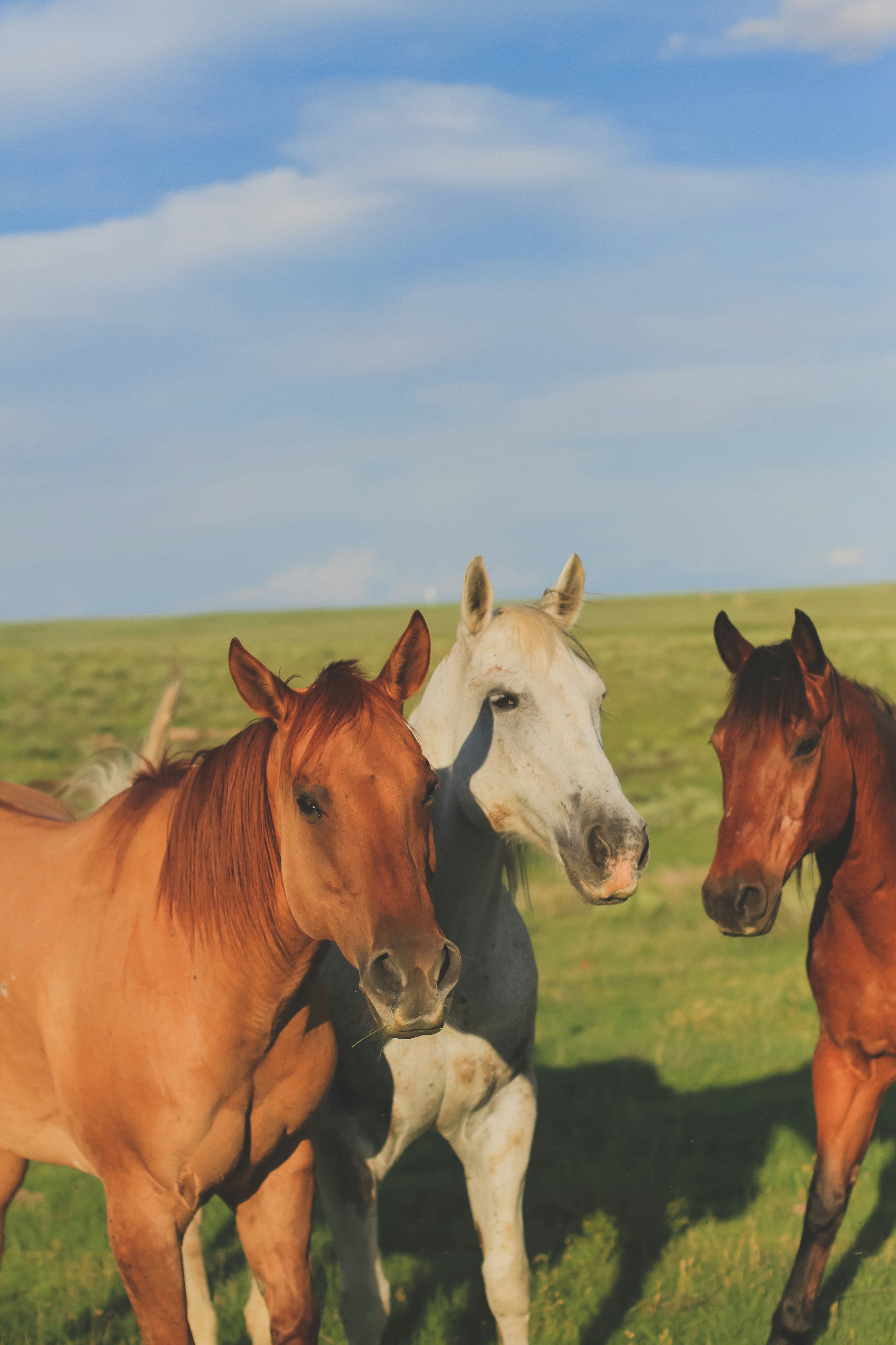 Photo by pqcrtivephoto