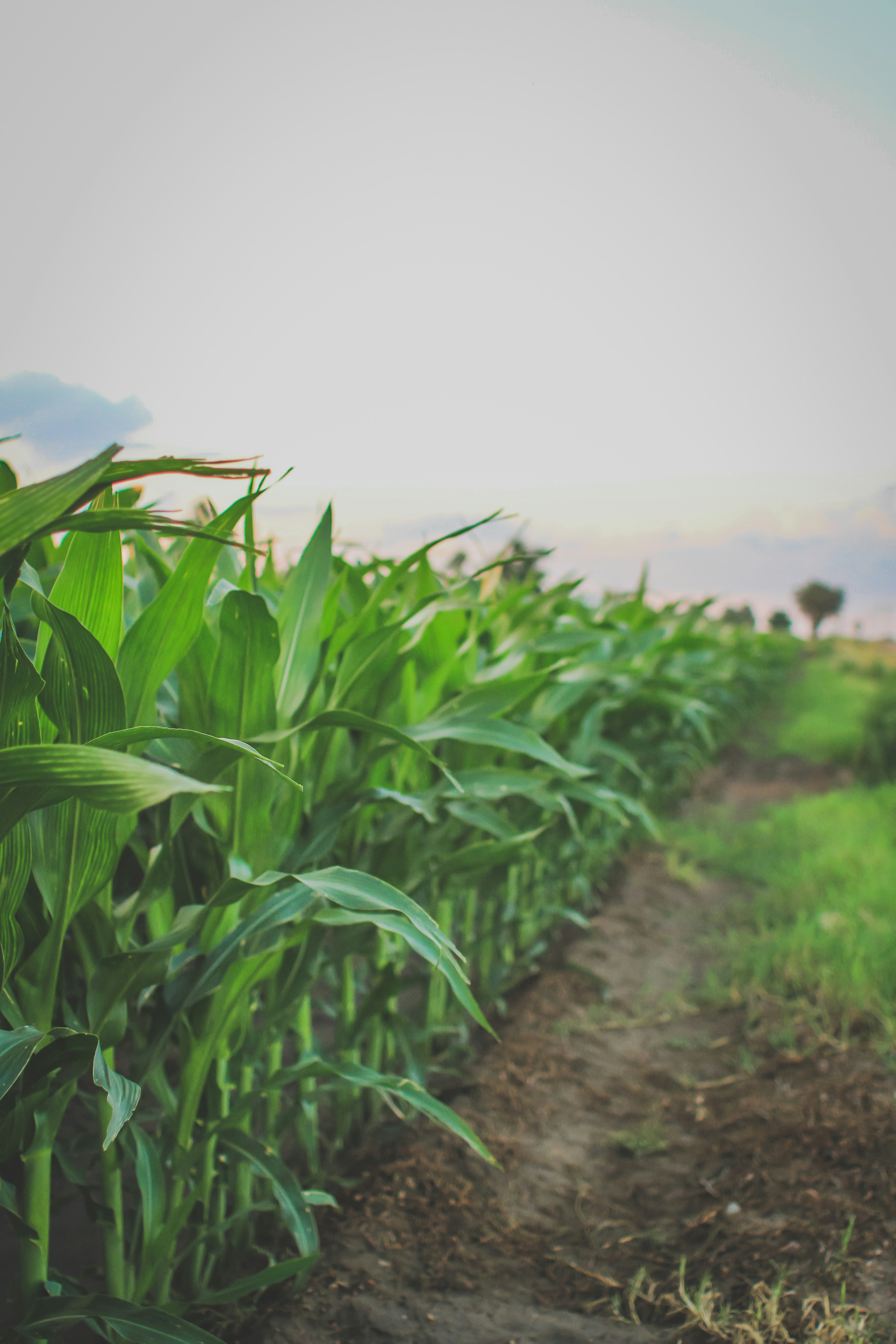 Photo by pqcrtivephoto