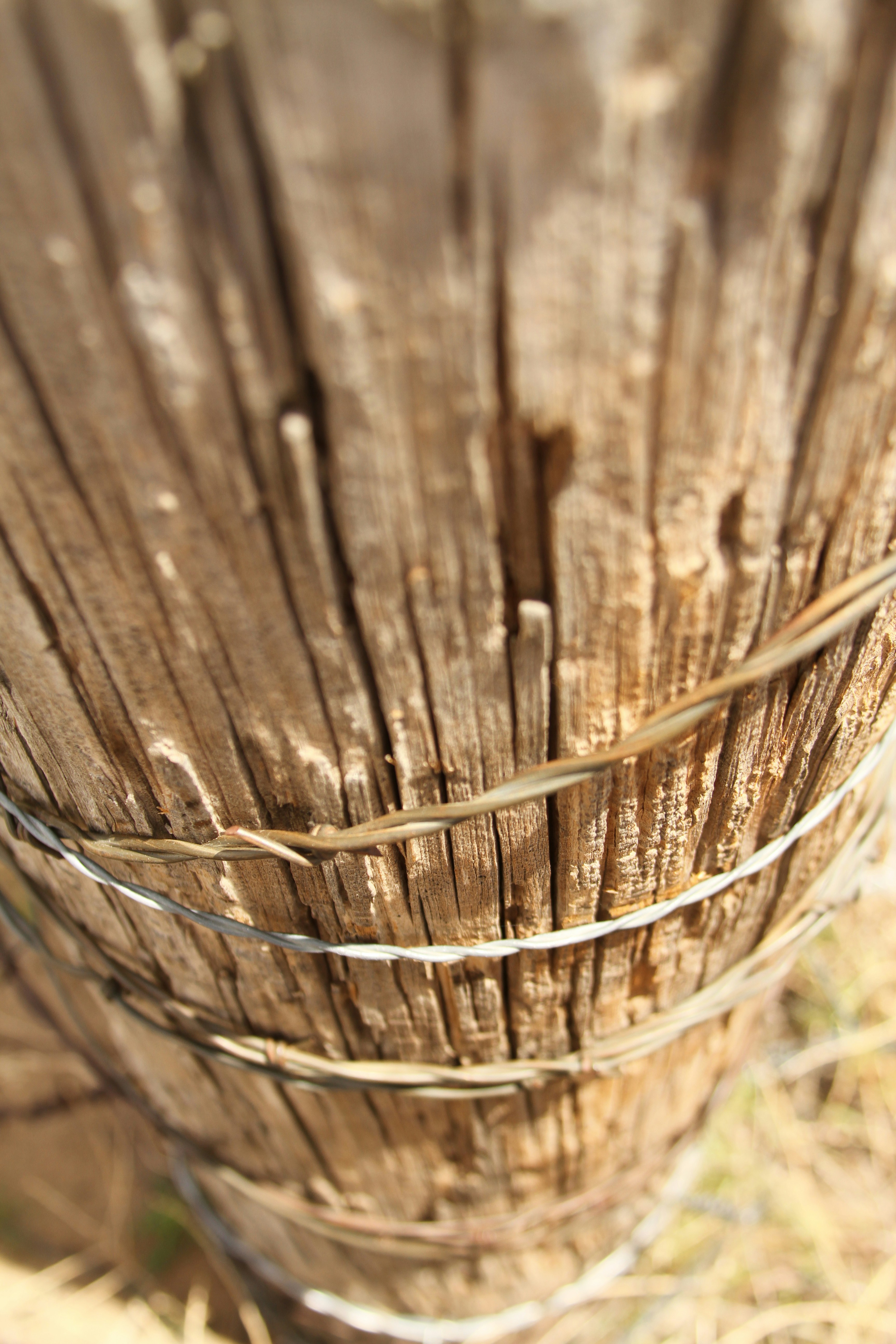 Photo by pqcrtivephoto