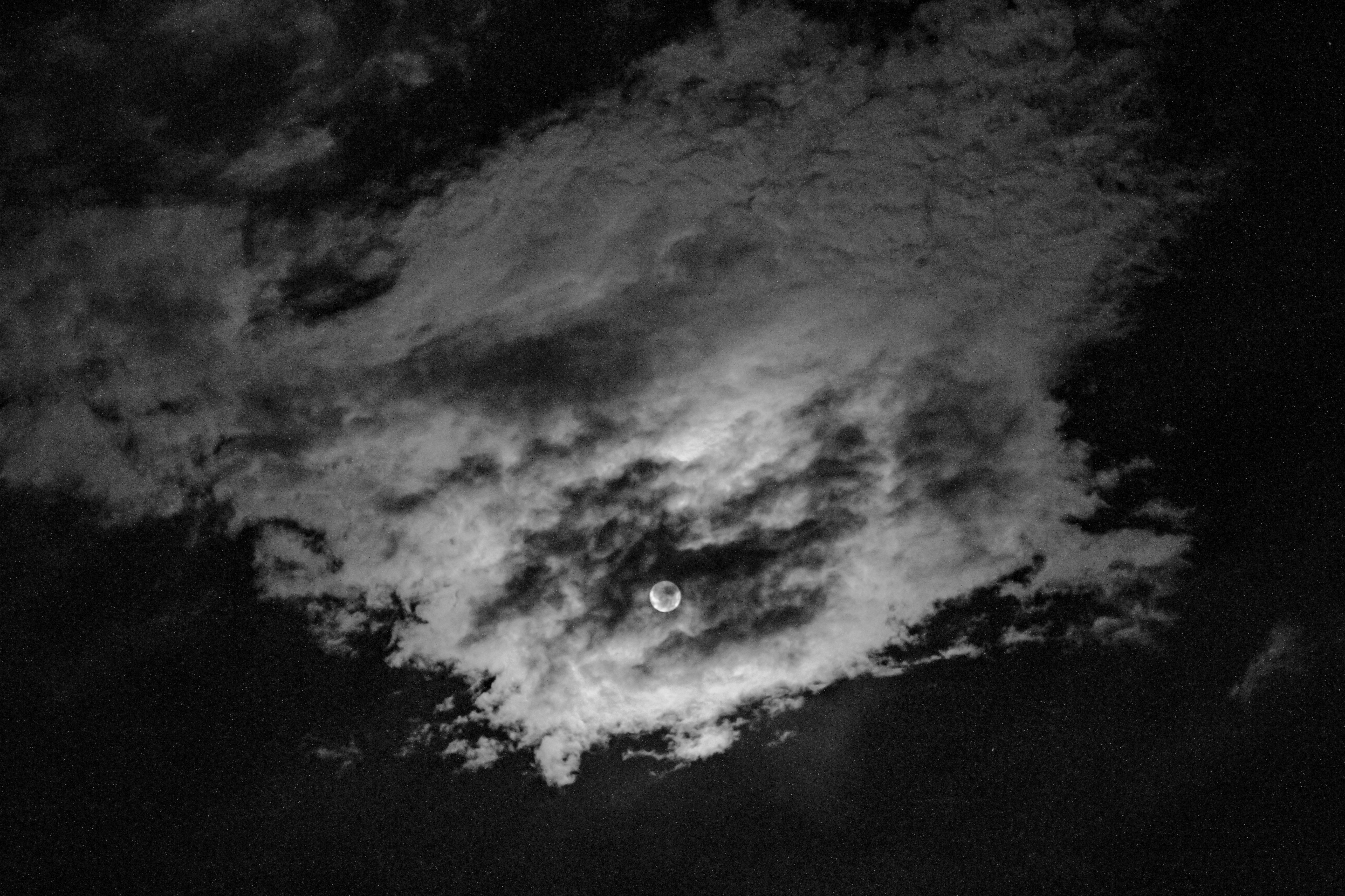 Photo by pqcrtivephoto