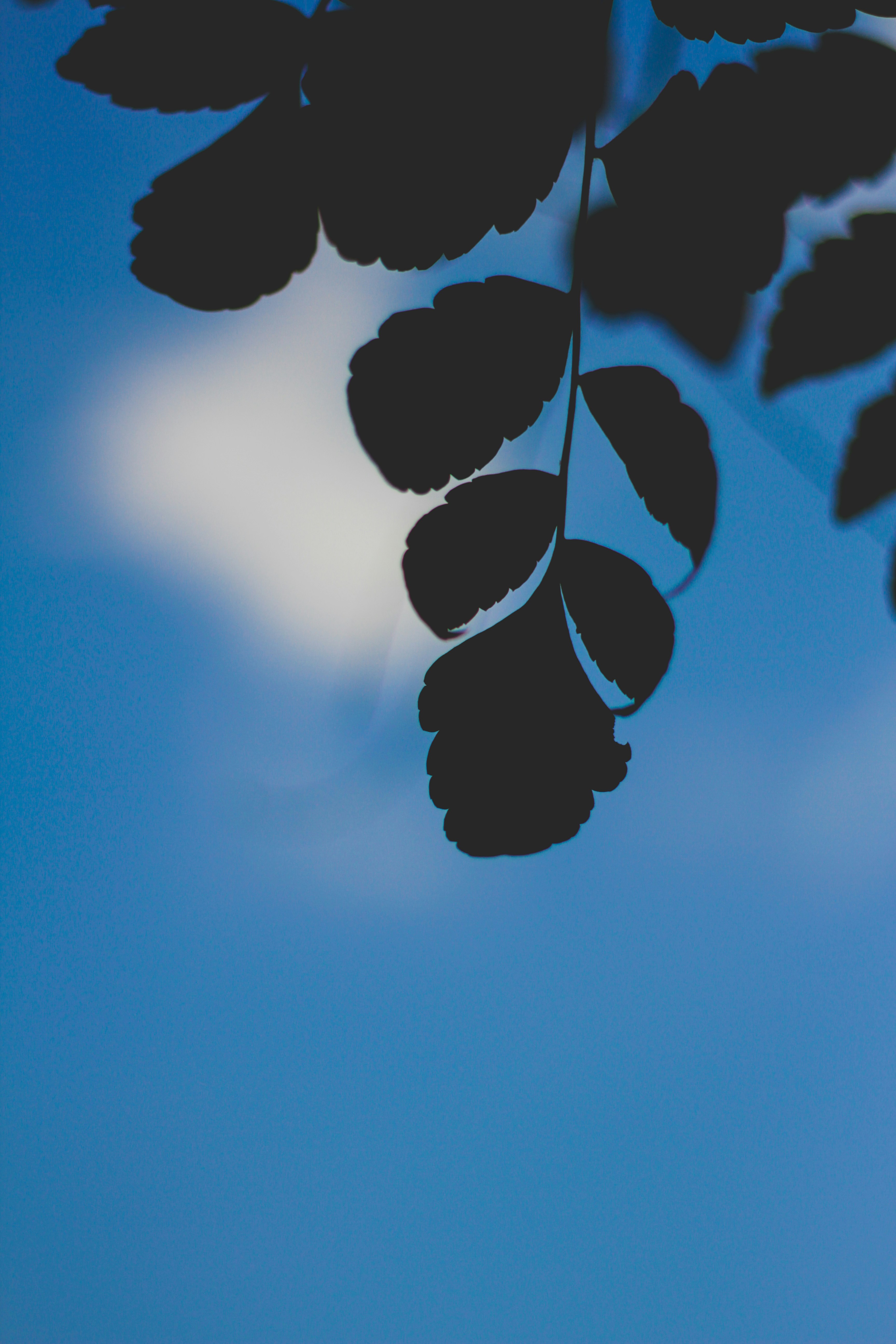 Photo by pqcrtivephoto