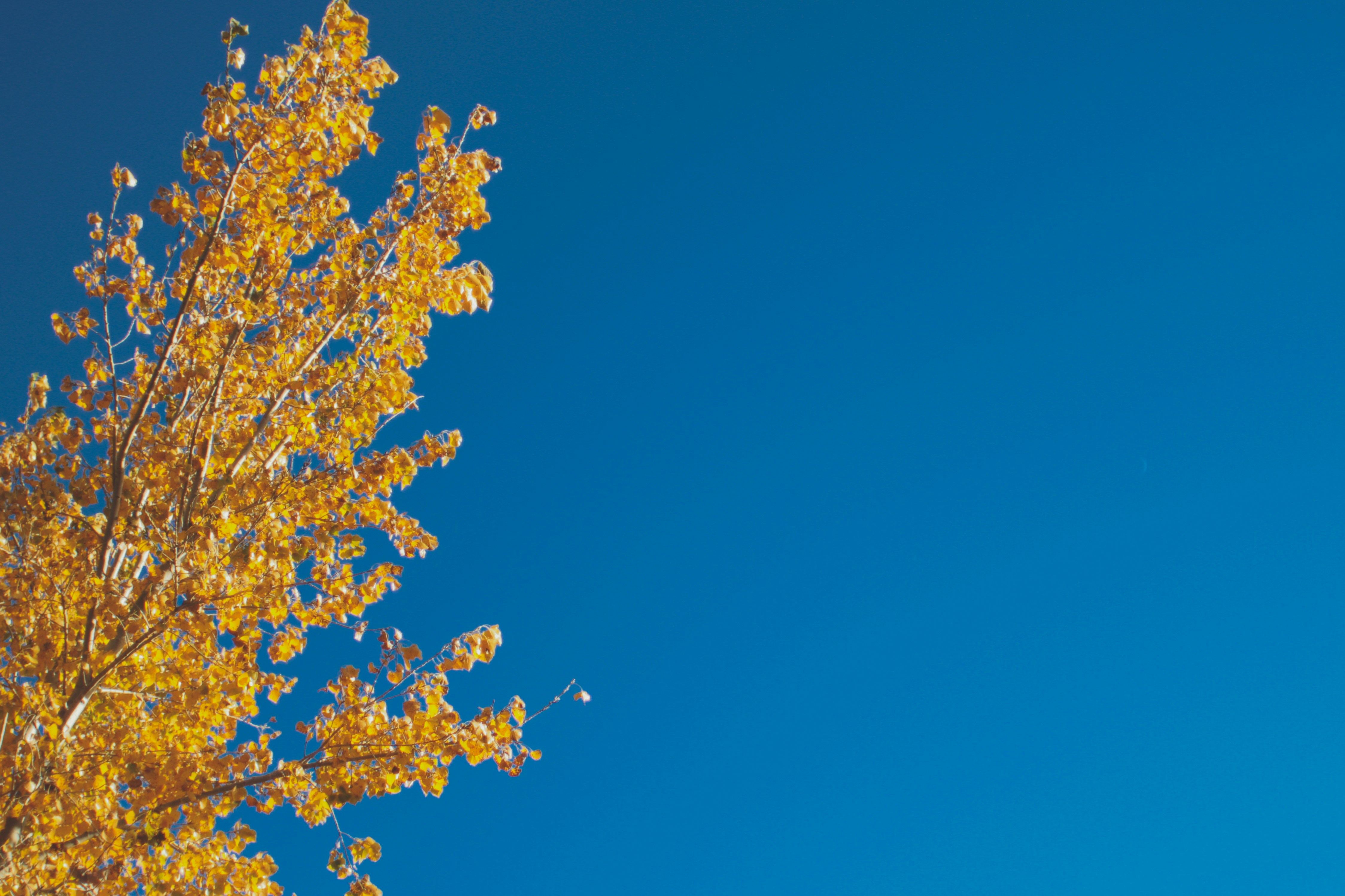 Photo by pqcrtivephoto