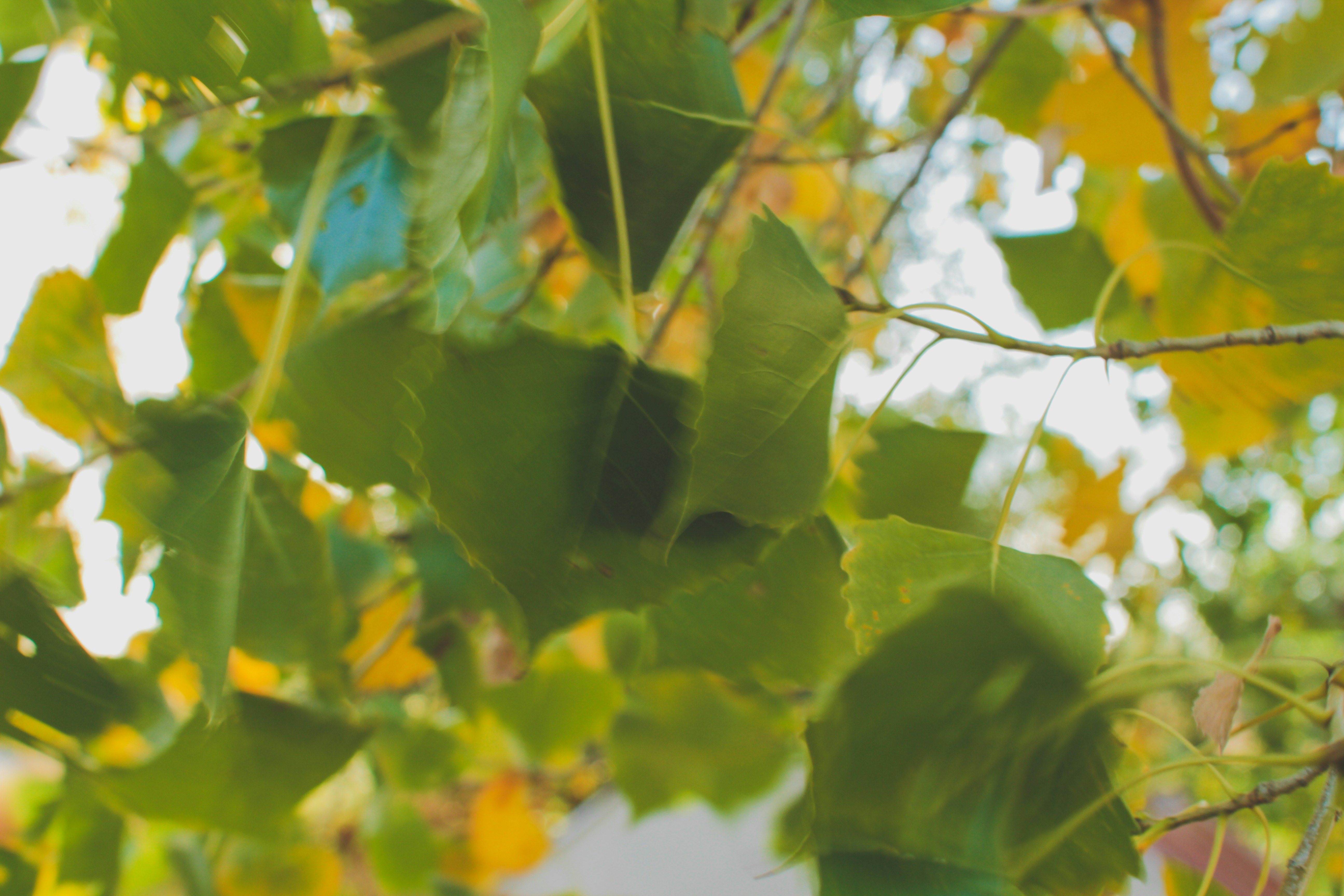 Photo by pqcrtivephoto