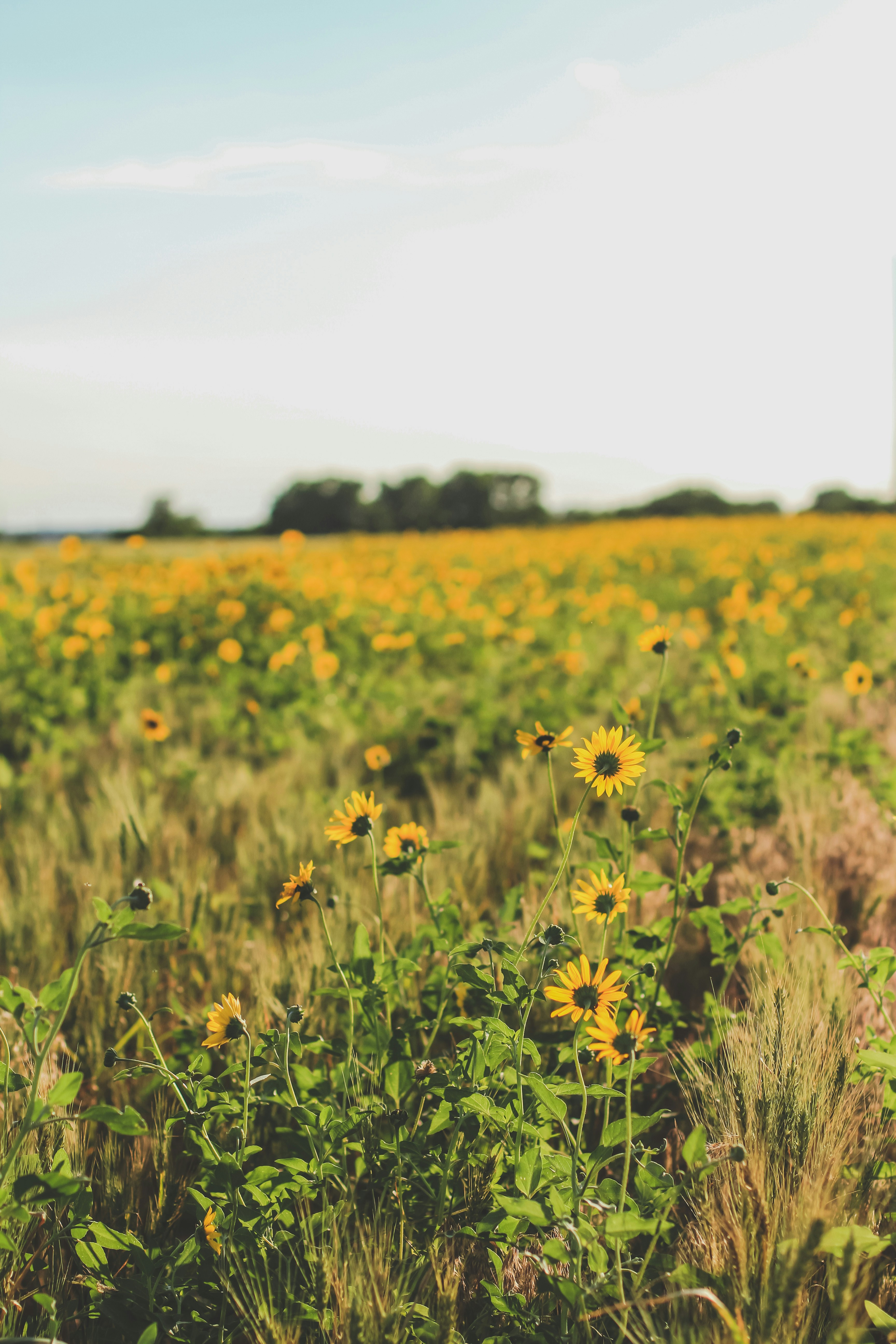 Photo by pqcrtivephoto