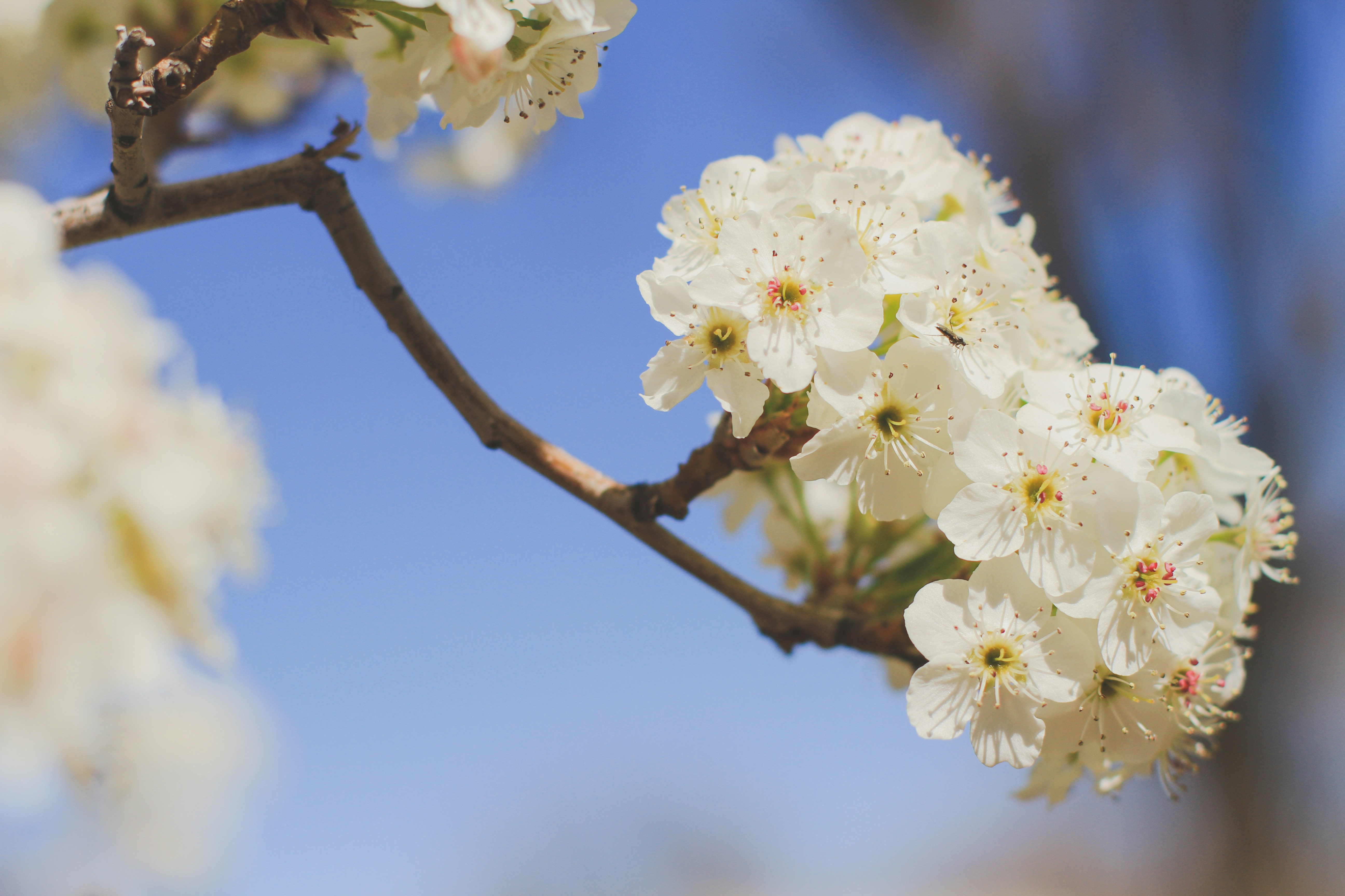 Photo by pqcrtivephoto