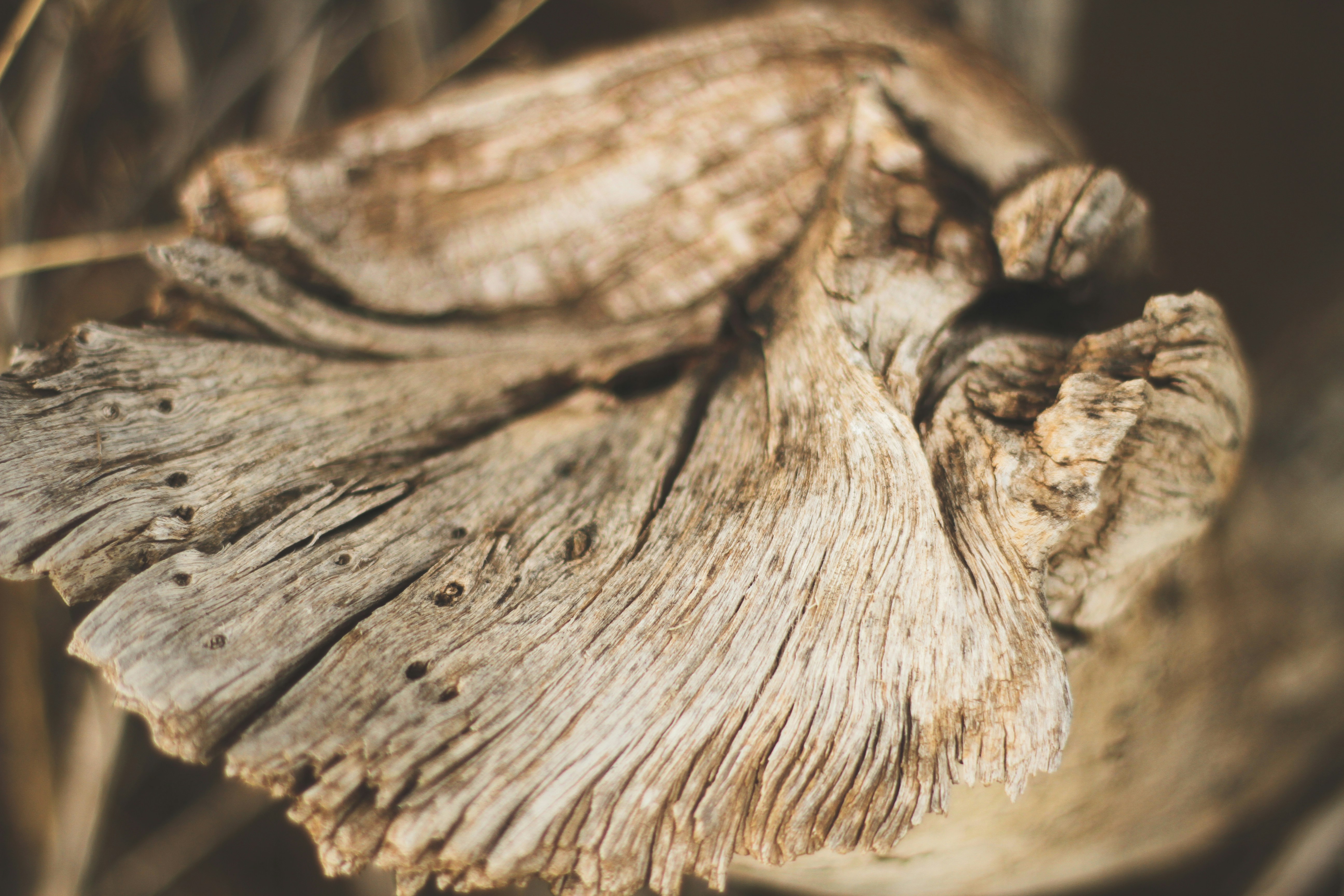 Photo by pqcrtivephoto