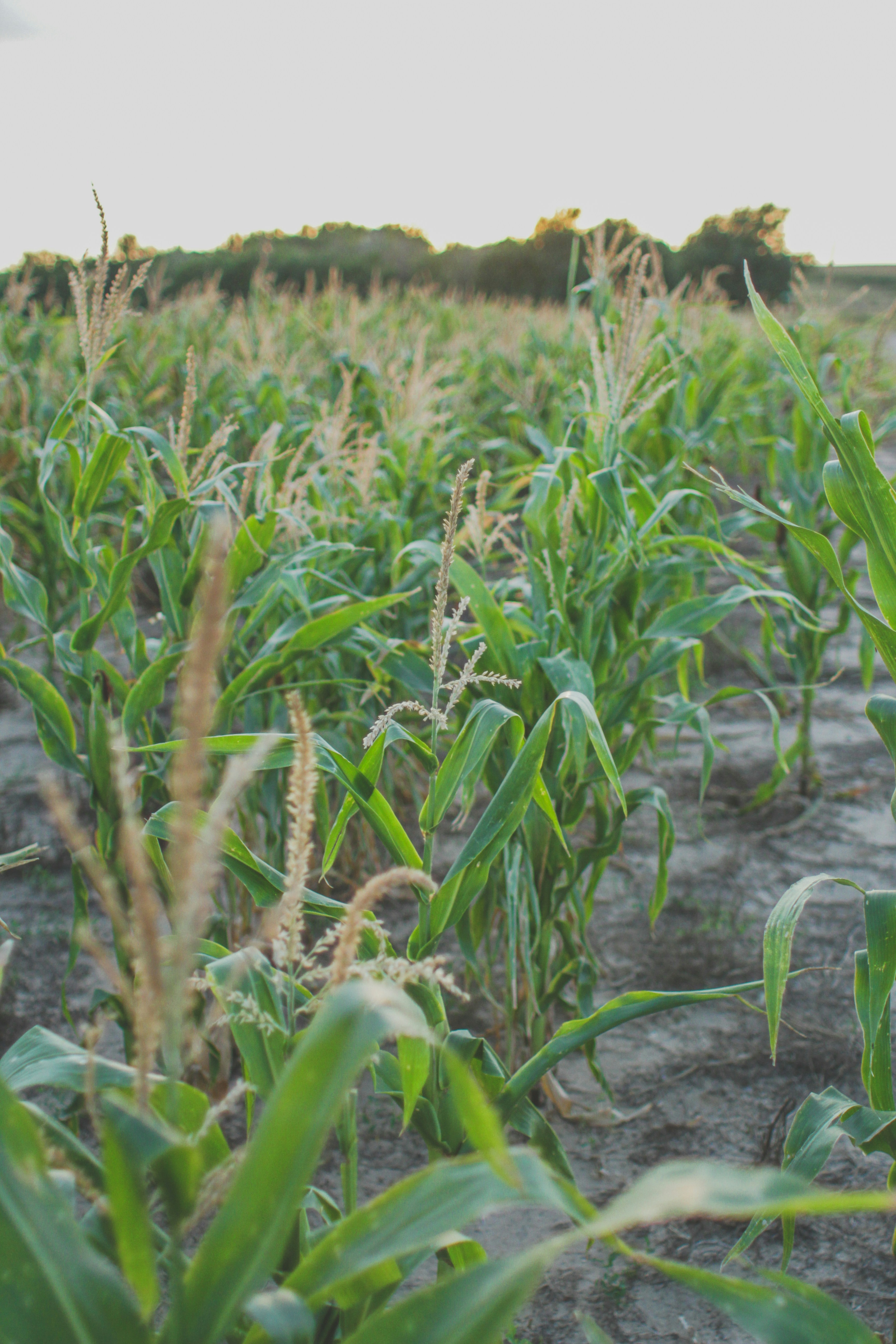 Photo by pqcrtivephoto