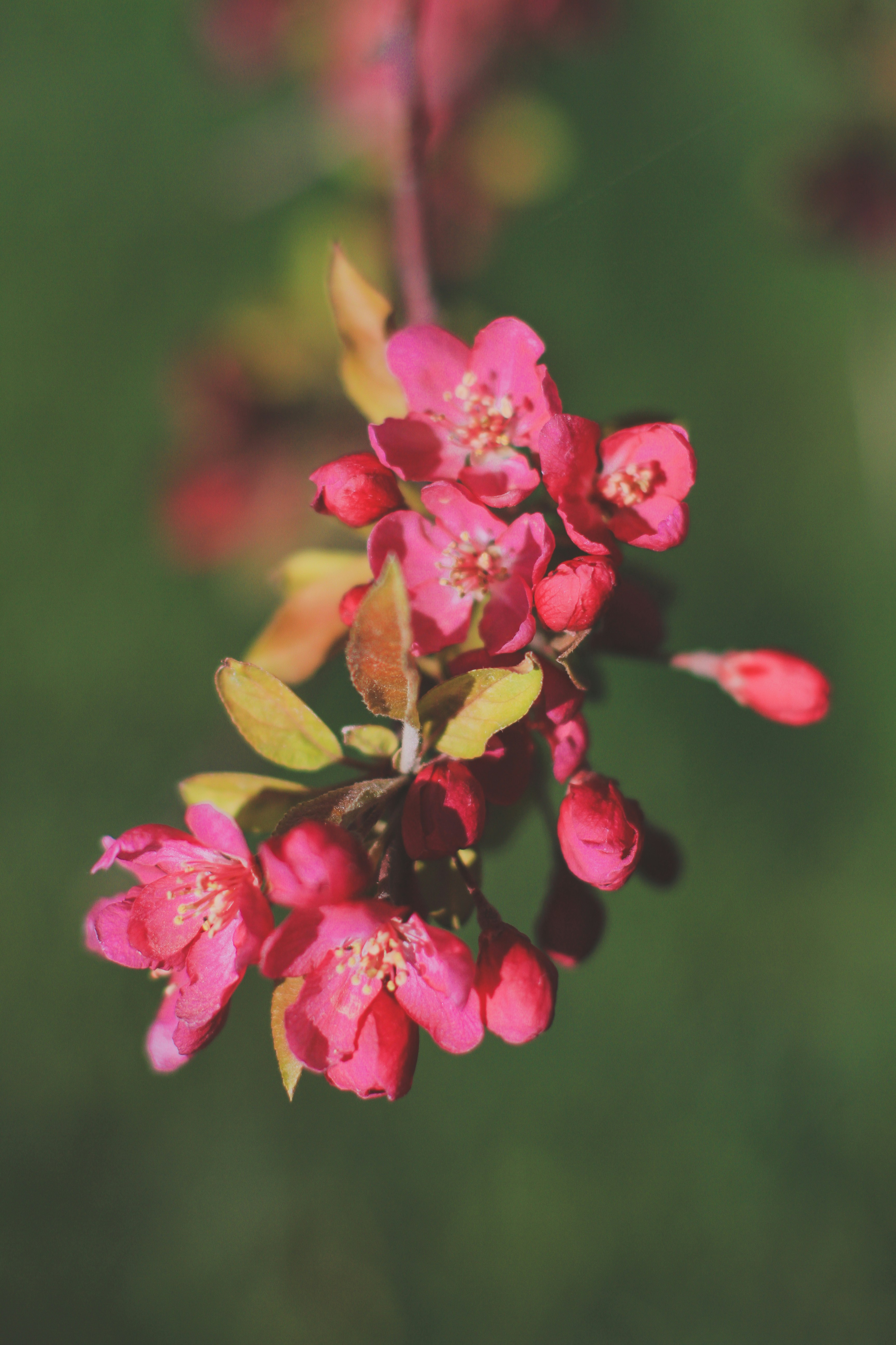 Photo by pqcrtivephoto