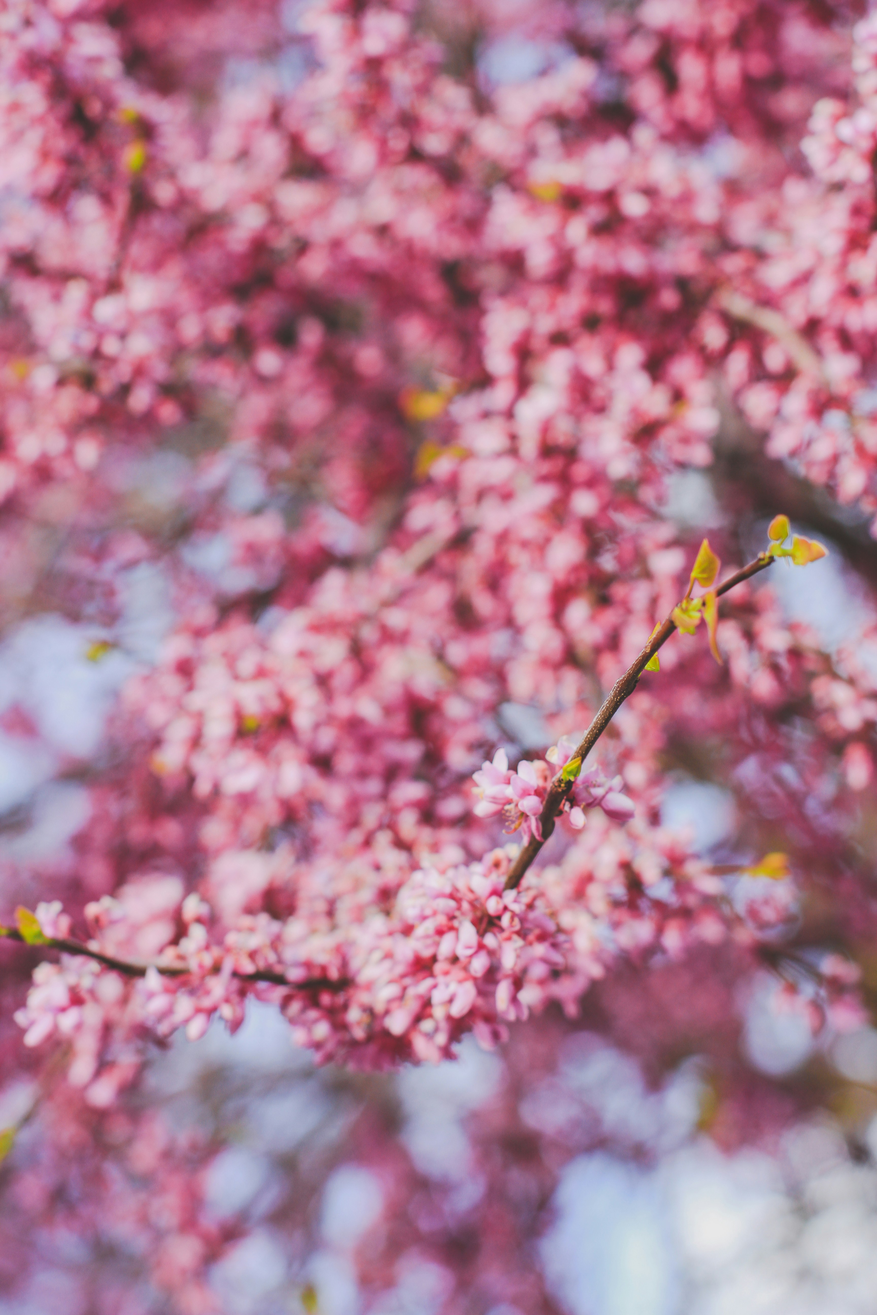 Photo by pqcrtivephoto