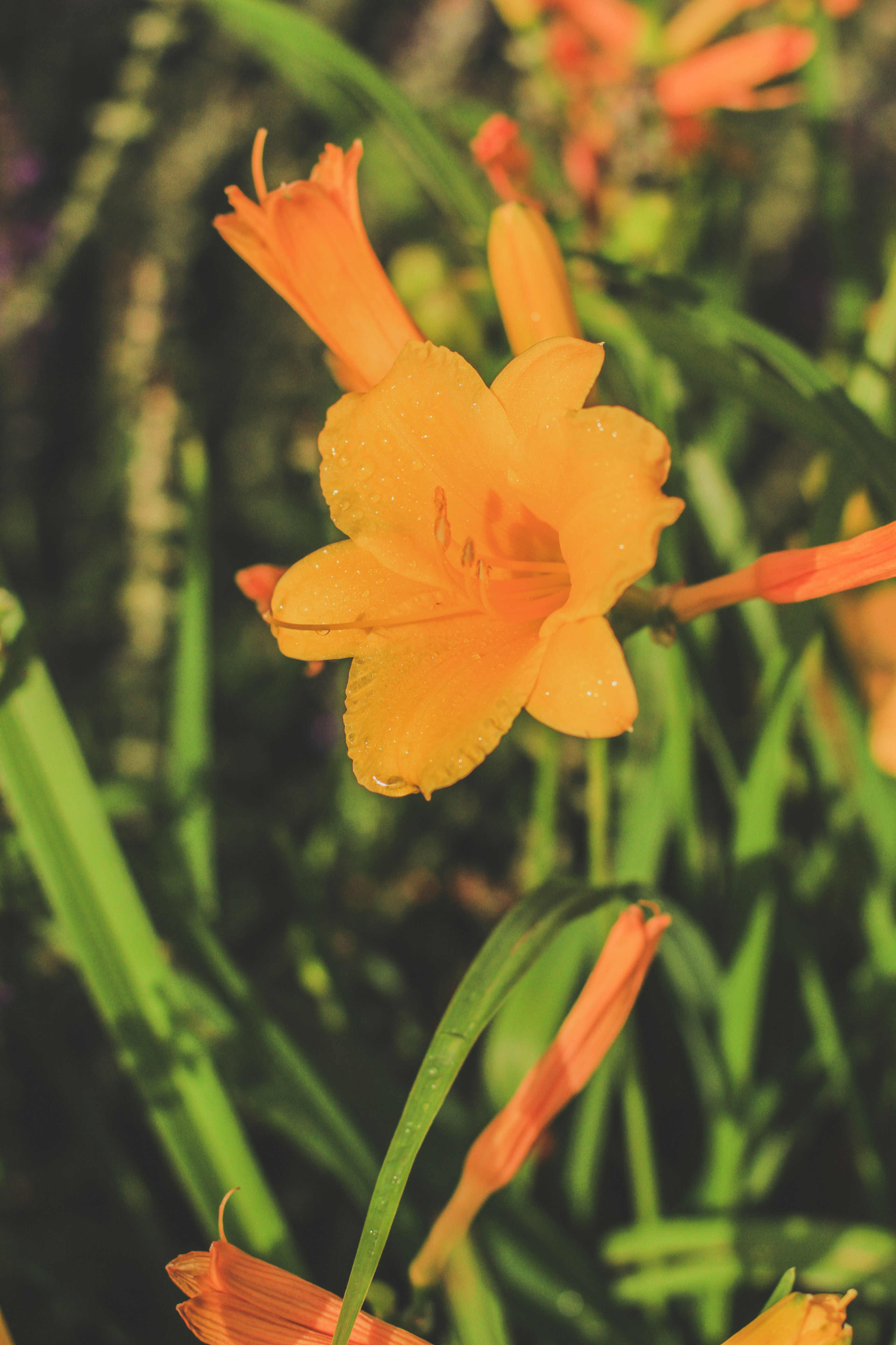 Photo by pqcrtivephoto