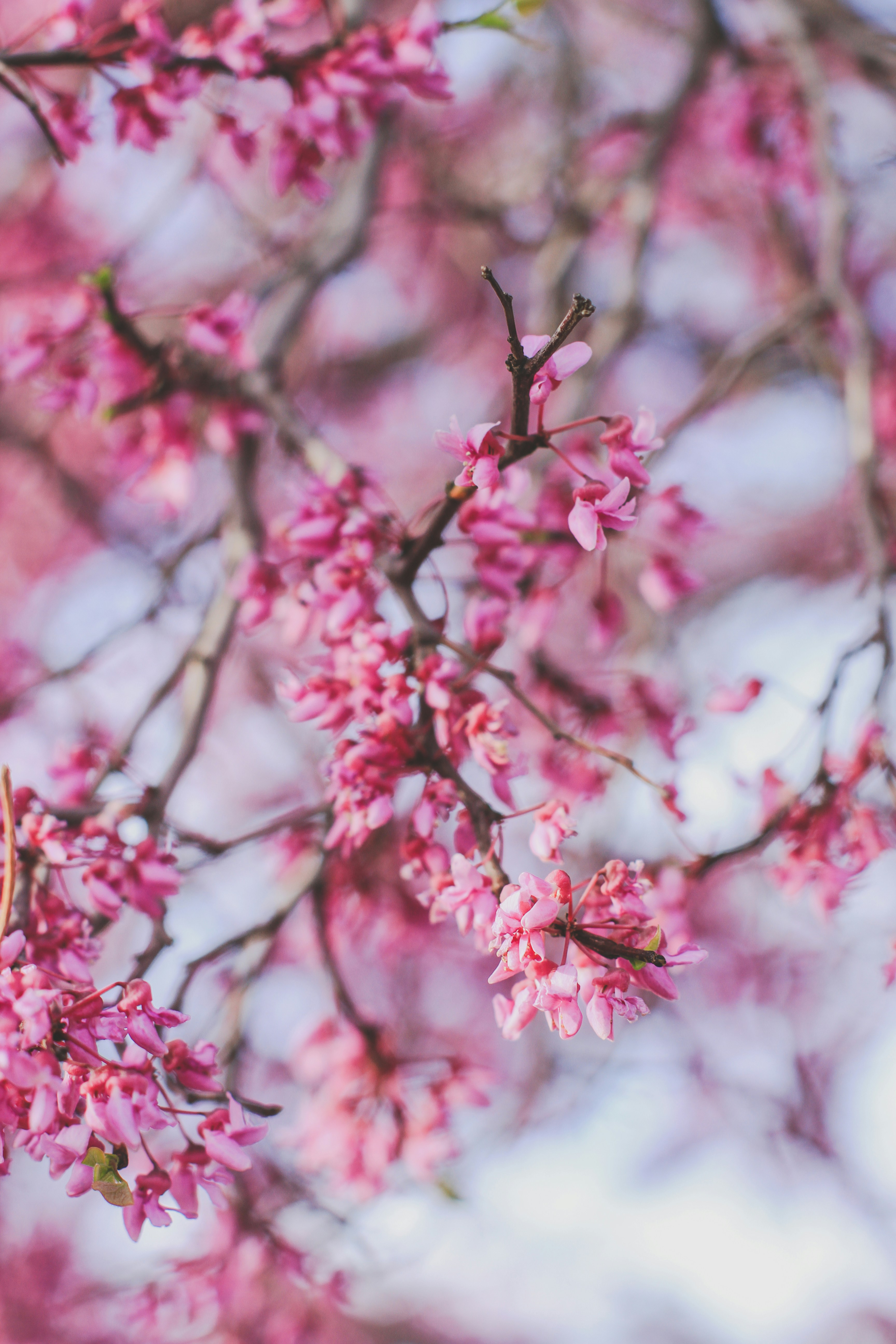 Photo by pqcrtivephoto