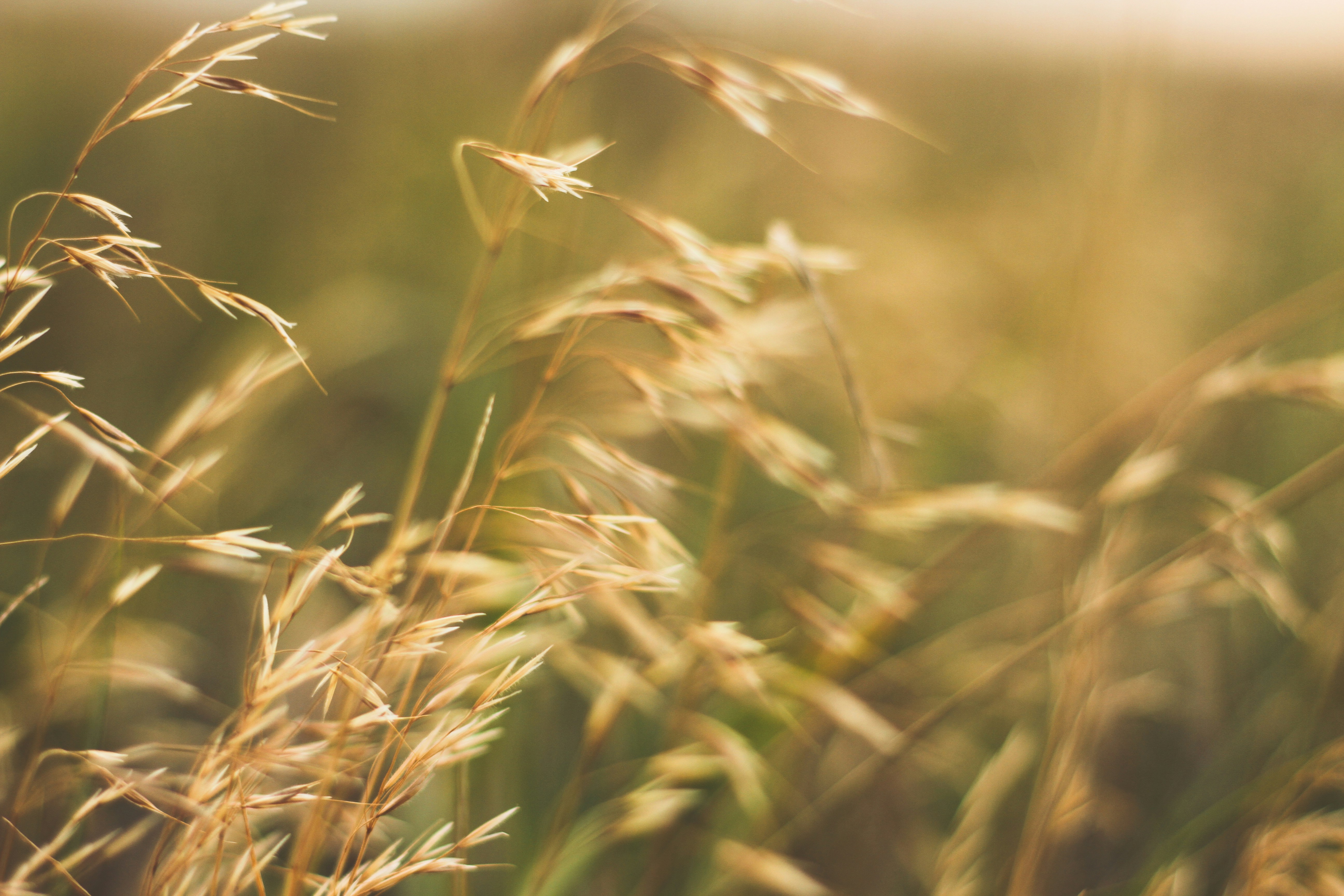 Photo by pqcrtivephoto