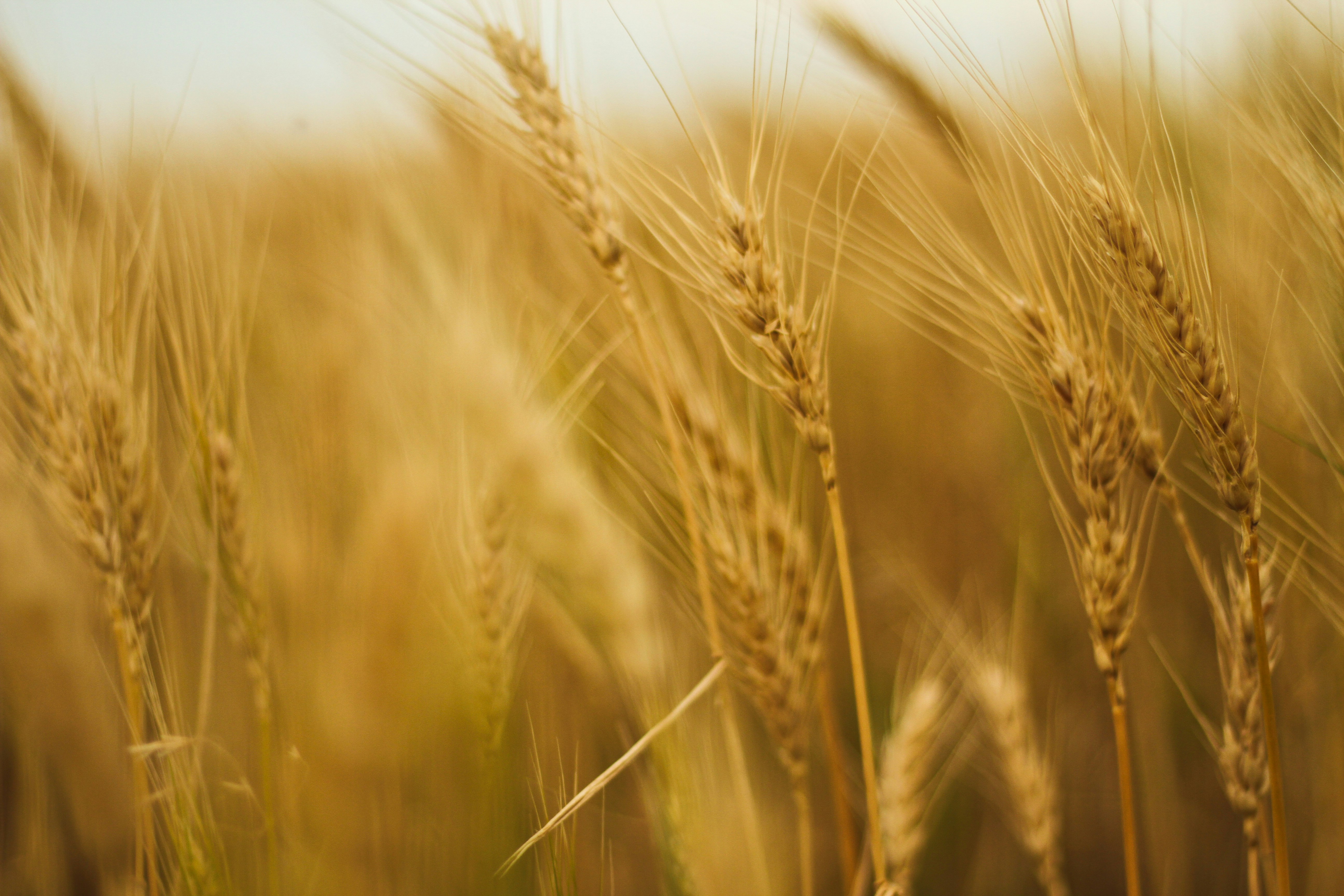 Photo by pqcrtivephoto