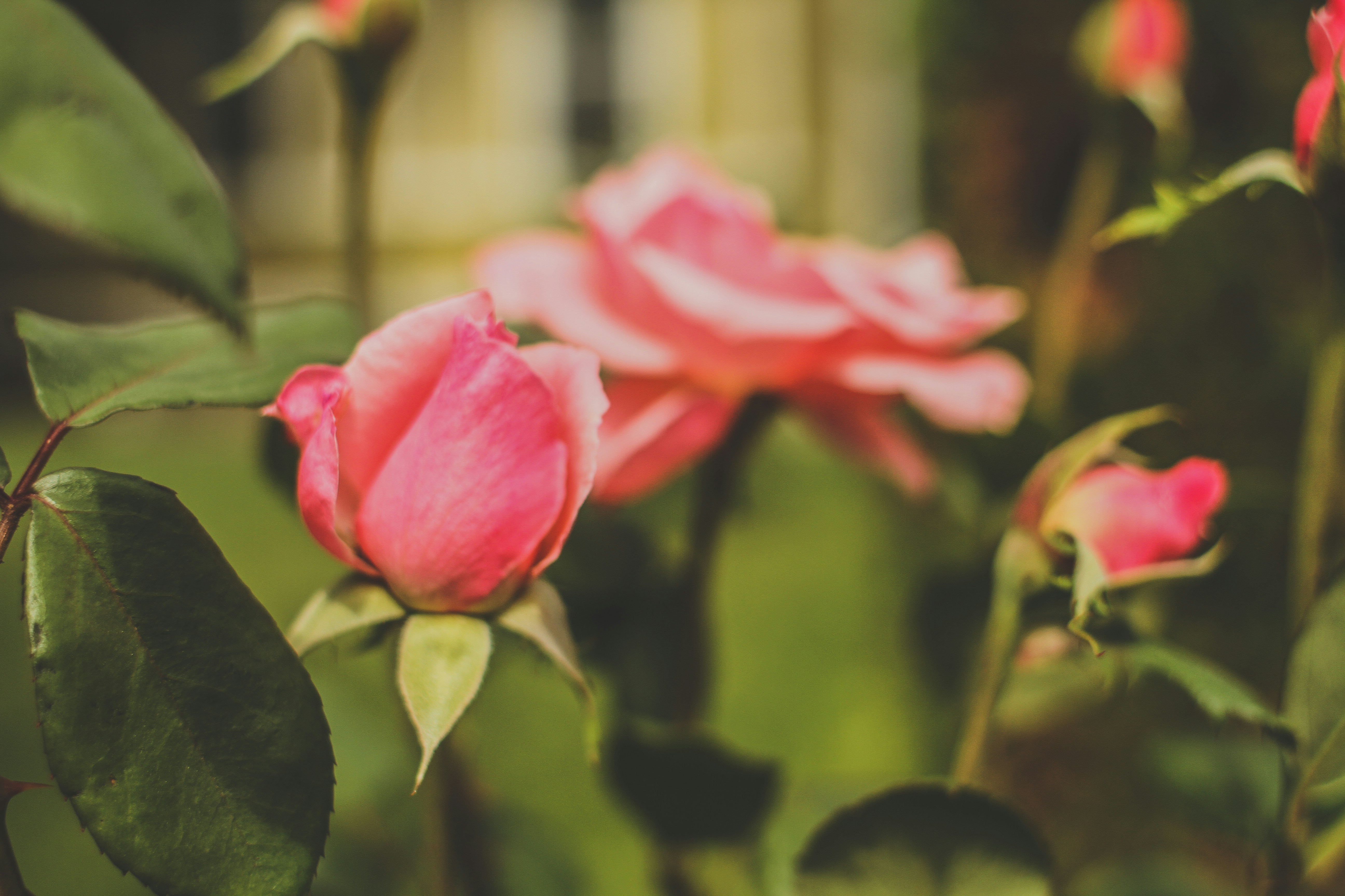 Photo by pqcrtivephoto