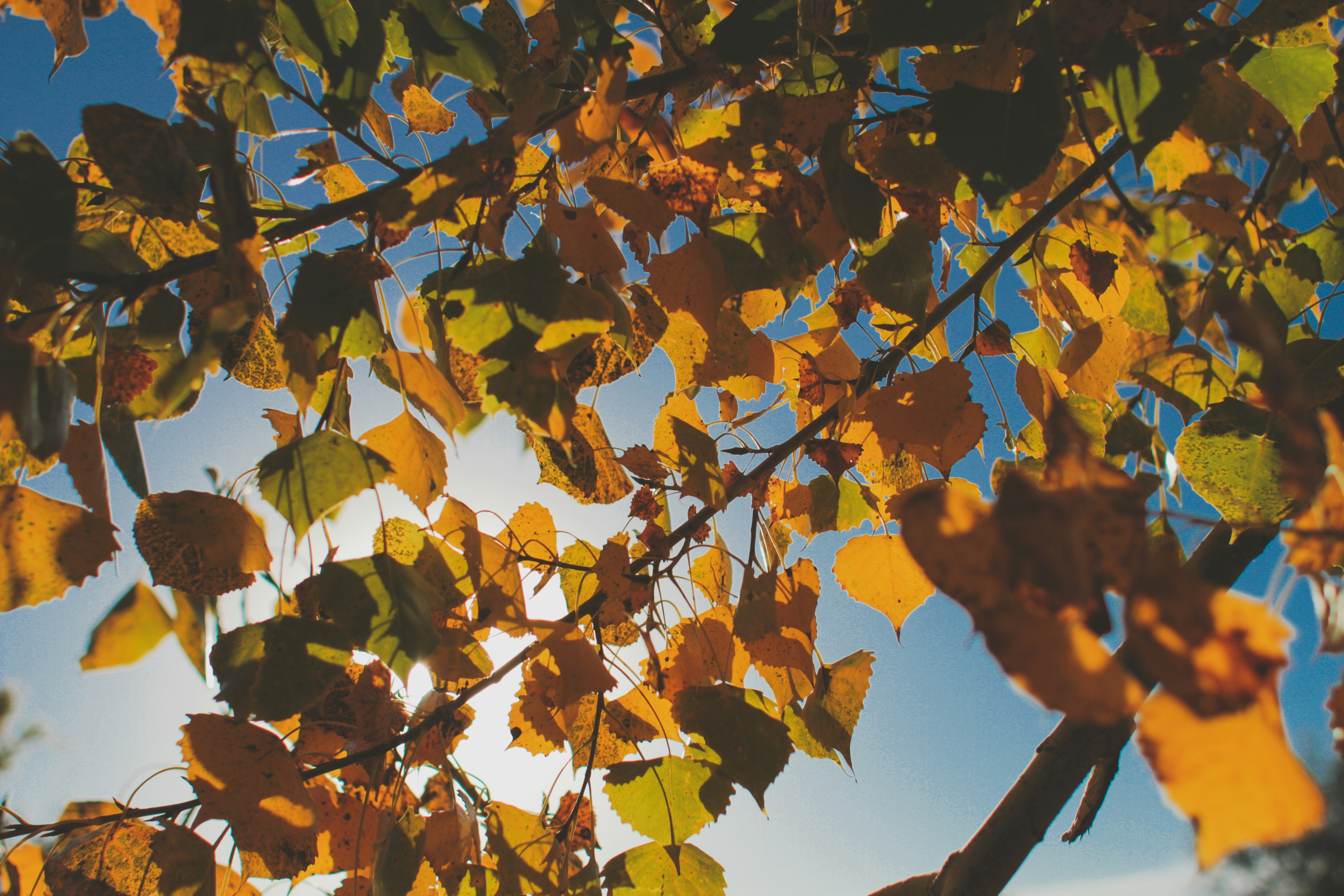 Photo by pqcrtivephoto