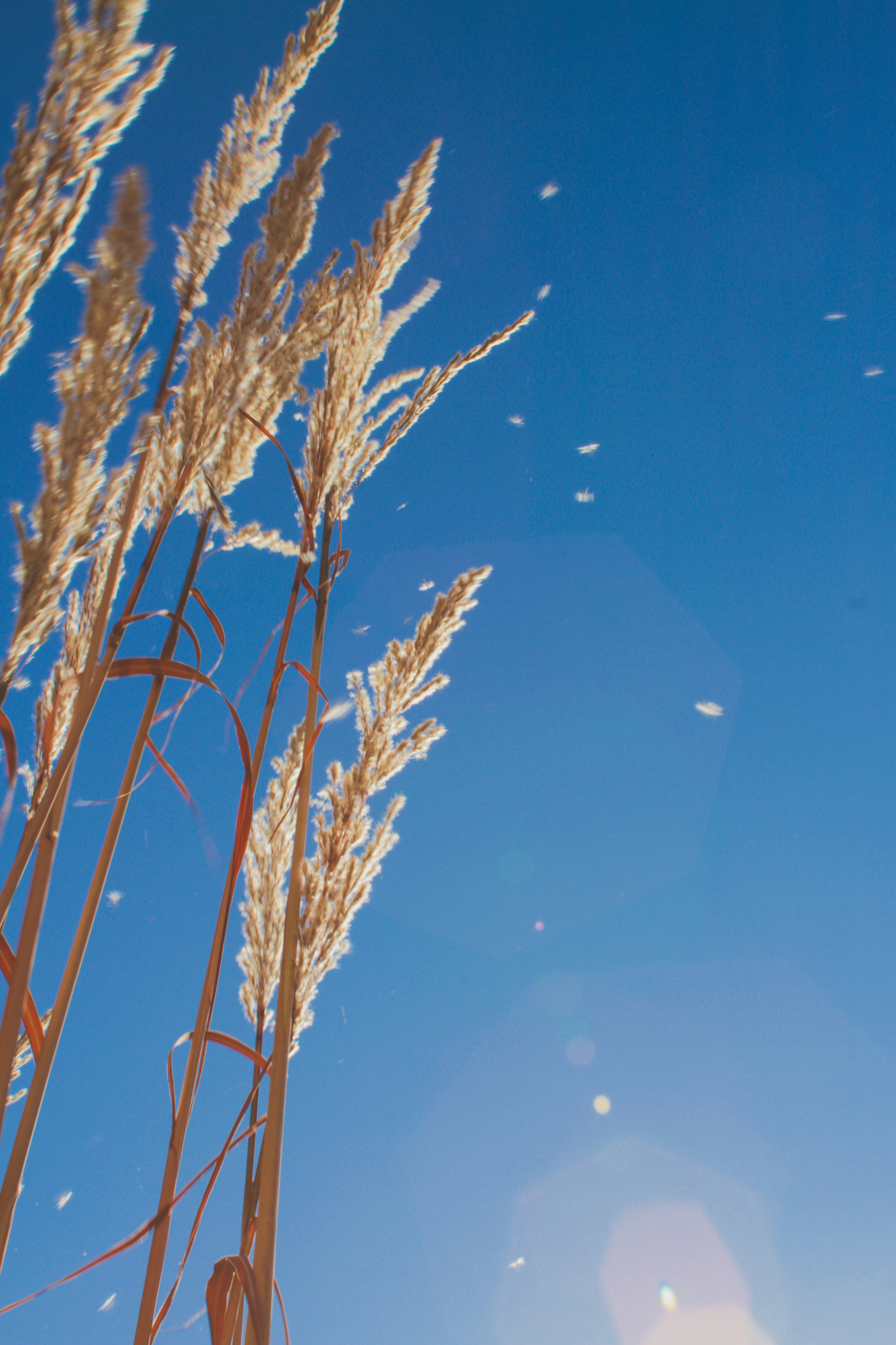 Photo by pqcrtivephoto