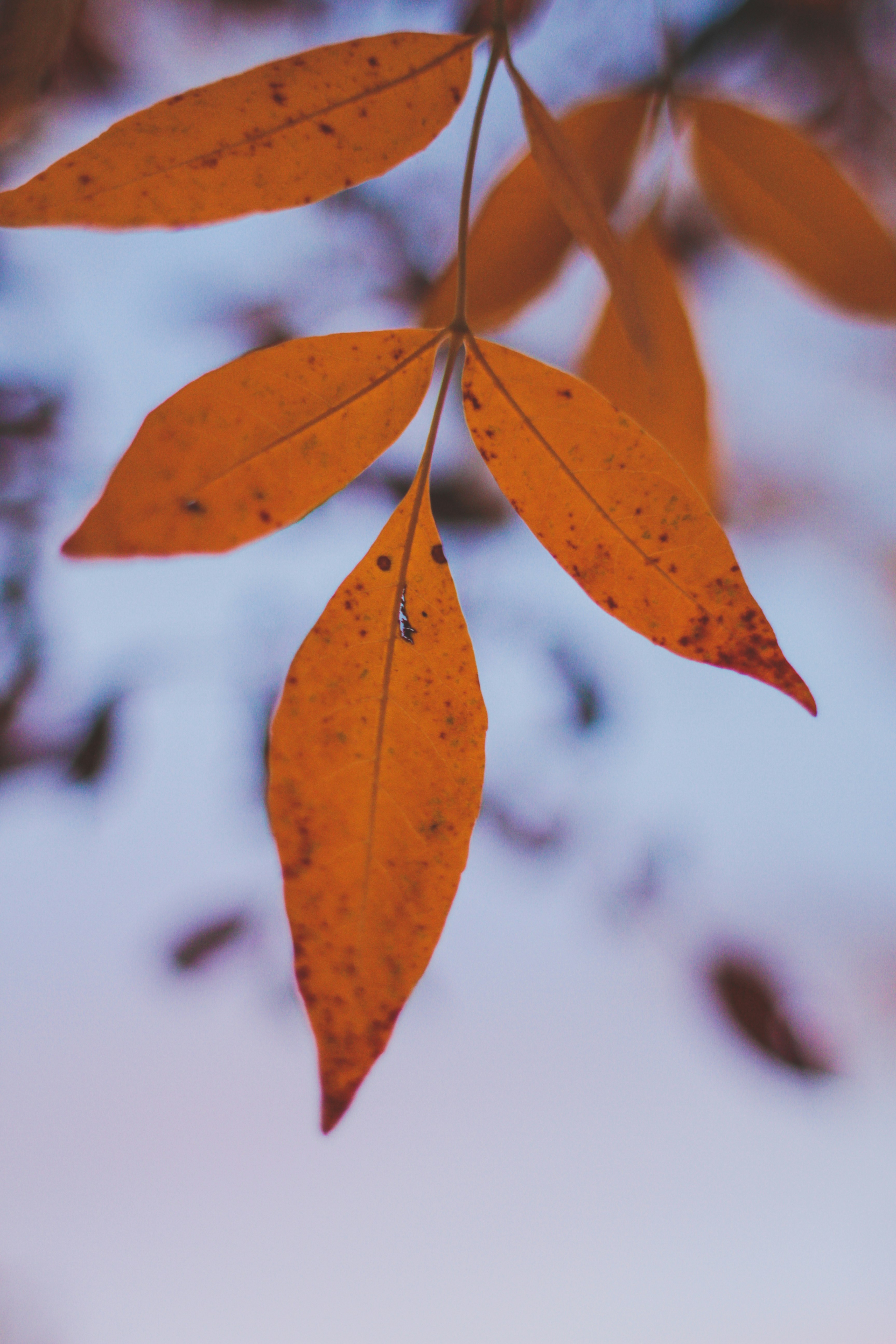 Photo by pqcrtivephoto