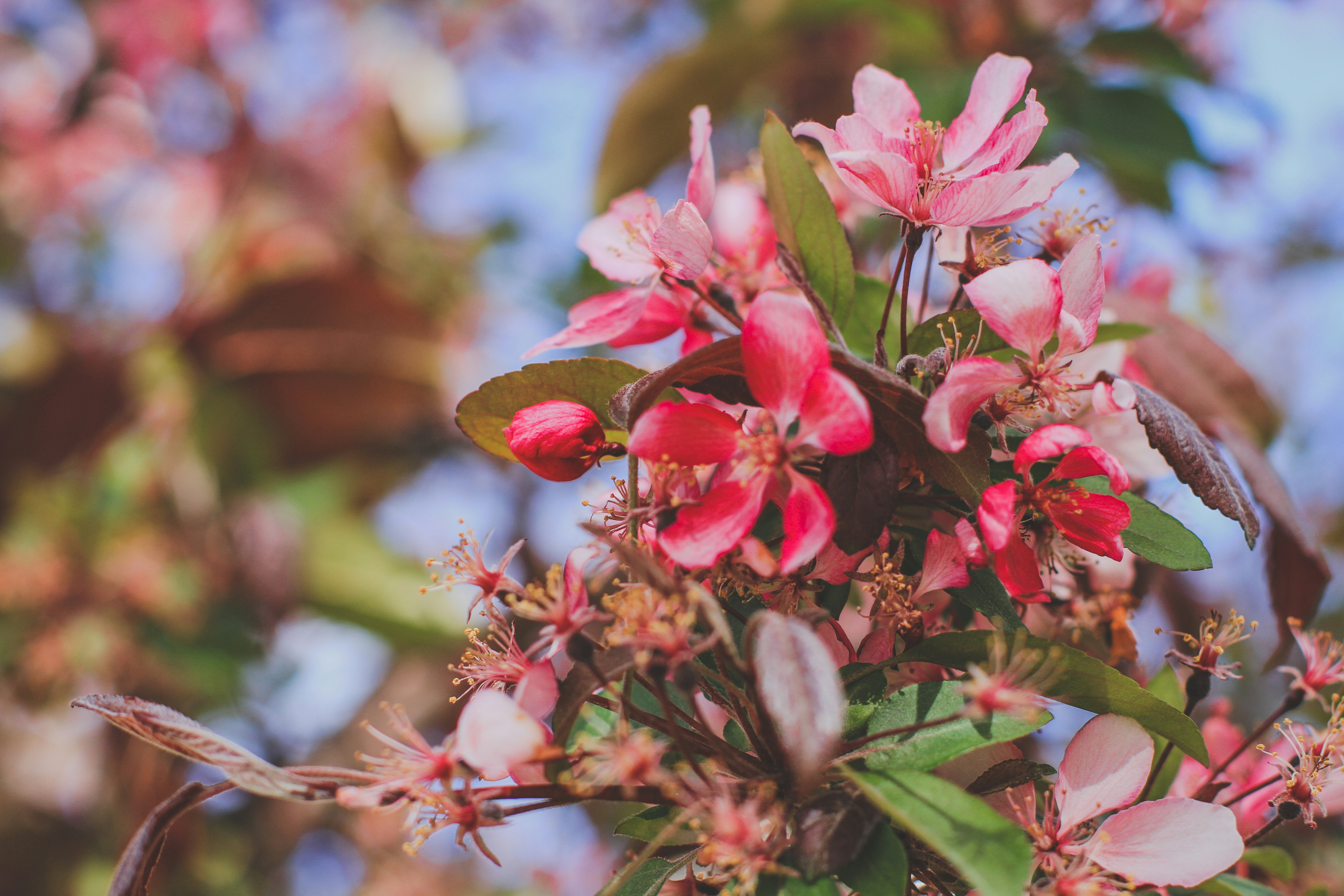 Photo by pqcrtivephoto