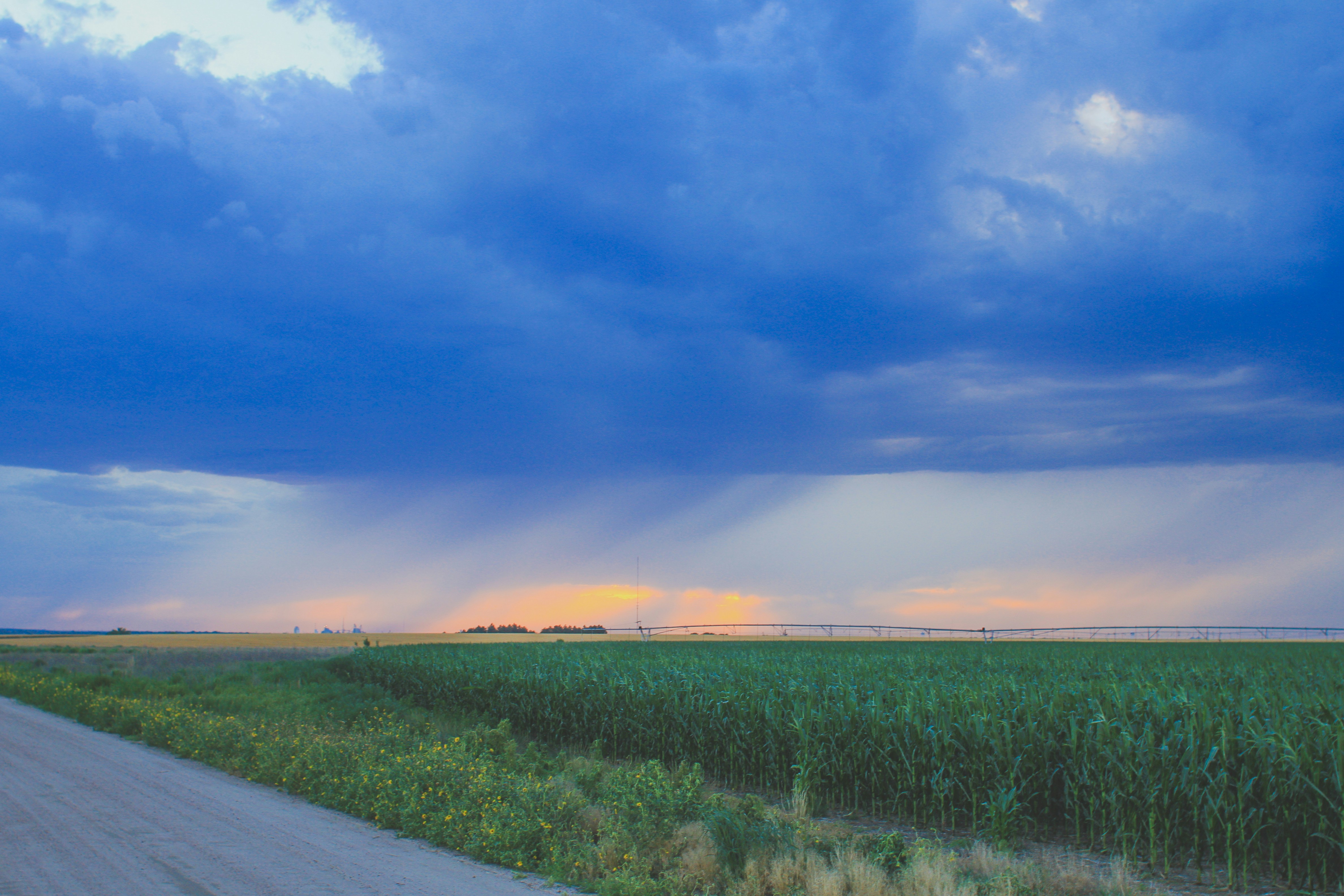 Photo by pqcrtivephoto