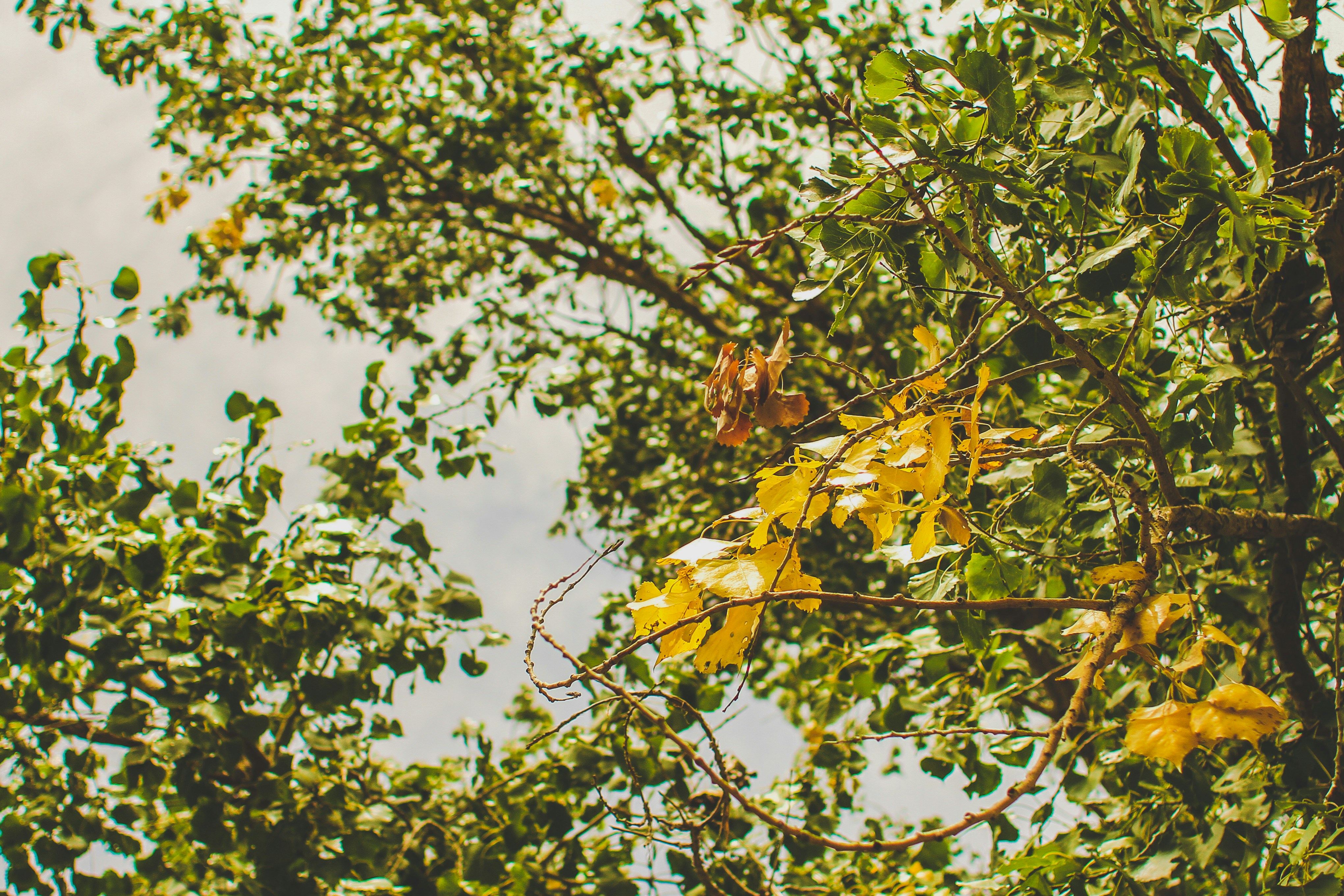 Photo by pqcrtivephoto