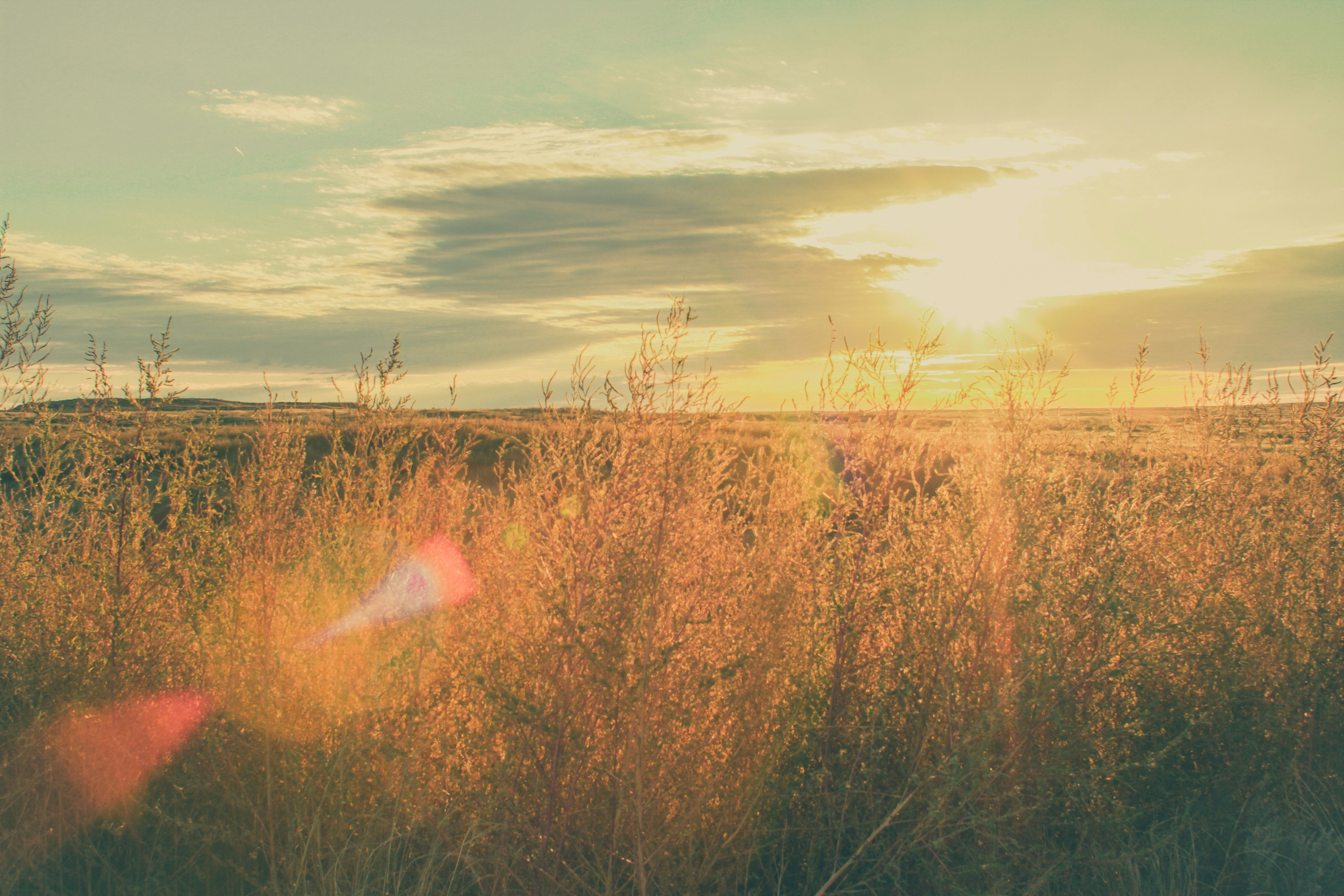 Photo by pqcrtivephoto