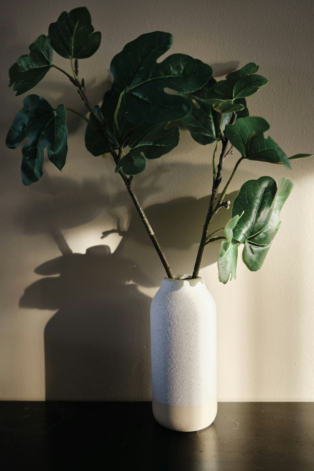una pianta in un vaso bianco su un tavolo