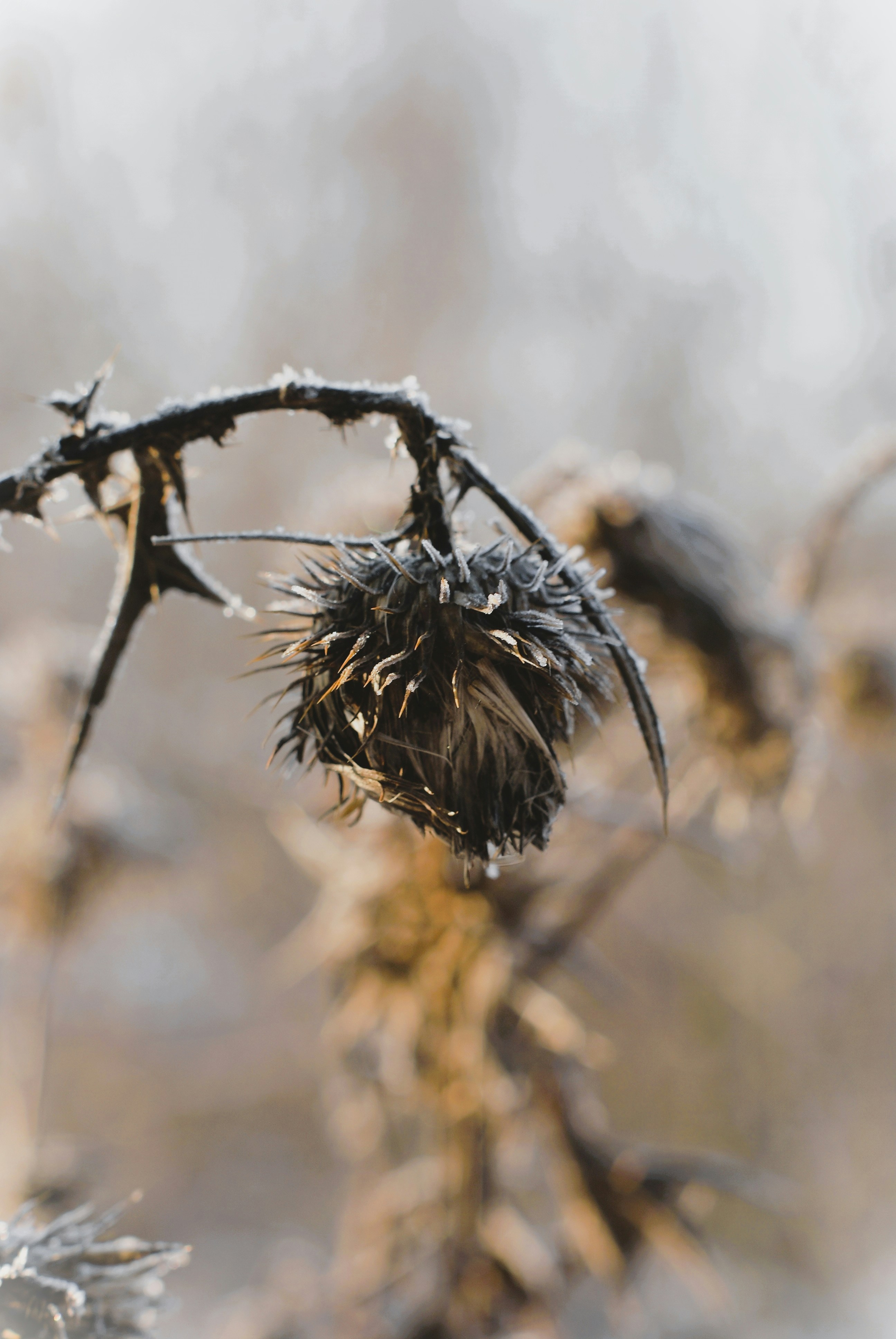 Photo by urszulakazmierczak