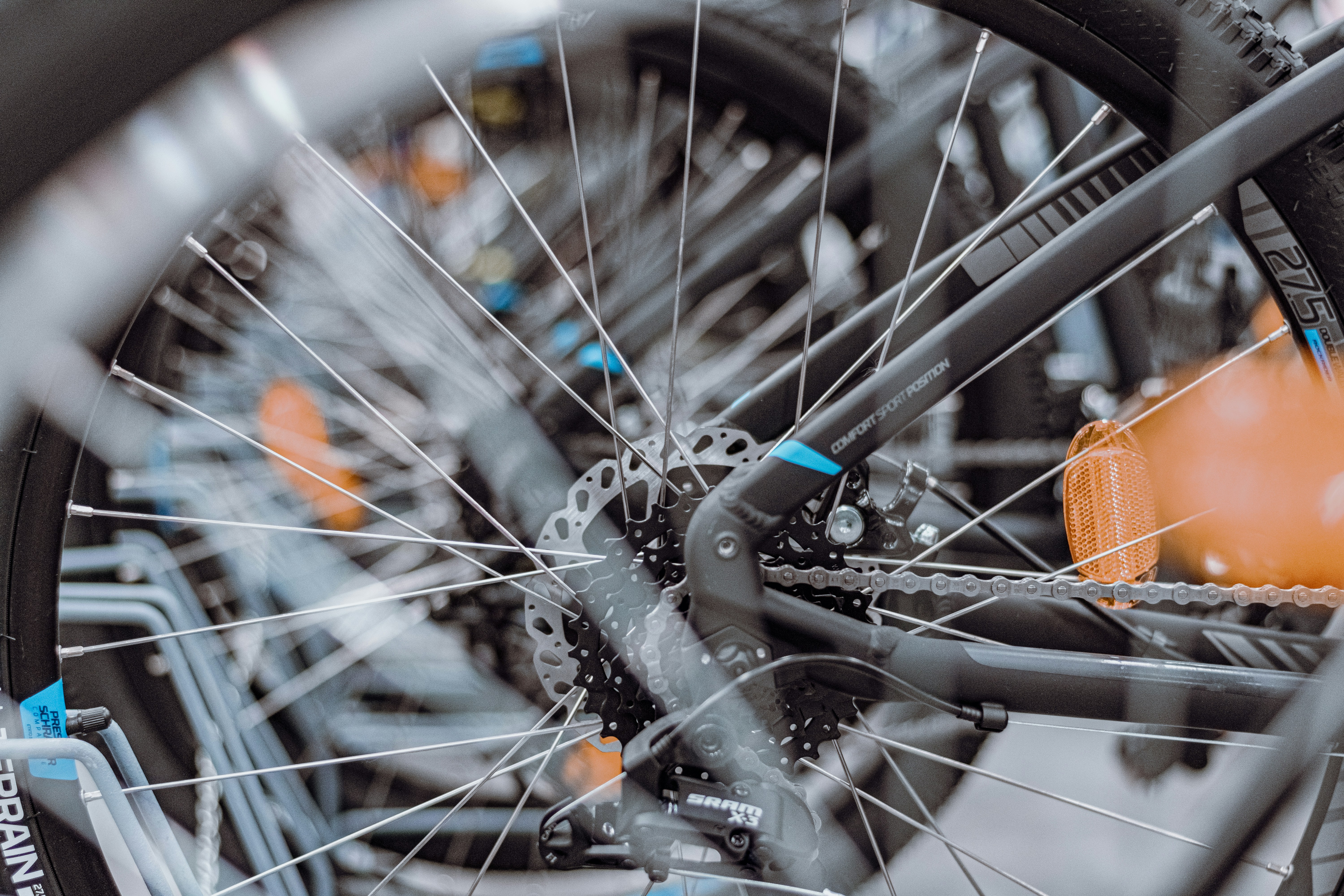 Photo by therealslkhv